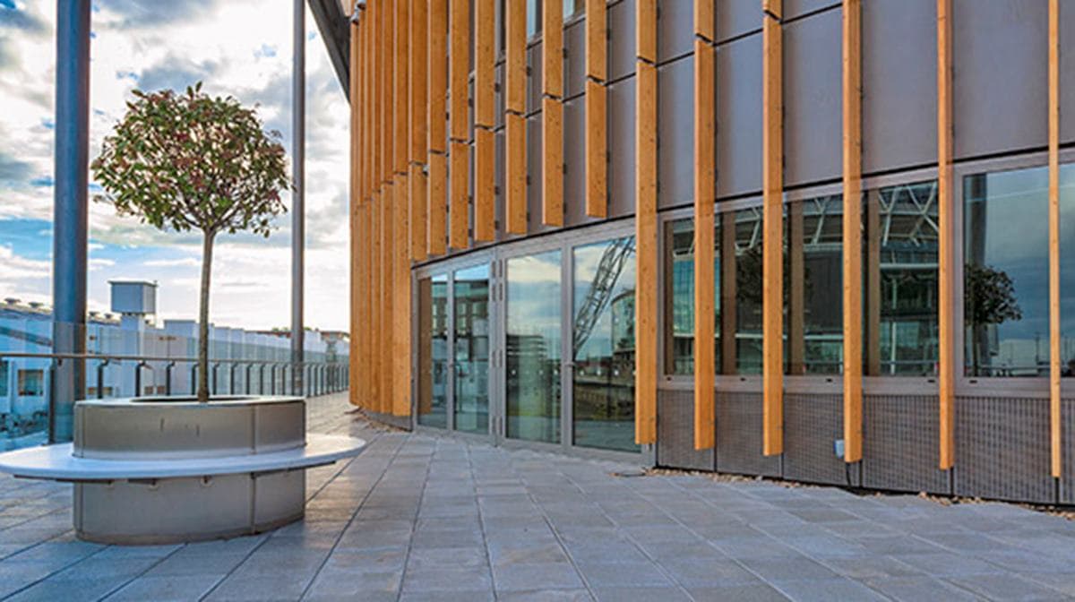 The Garden, The Drum Wembley photo #8