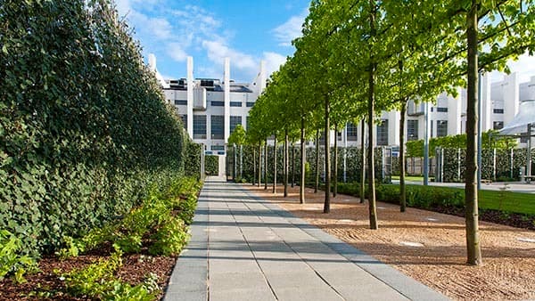 The Garden, The Drum Wembley photo #2