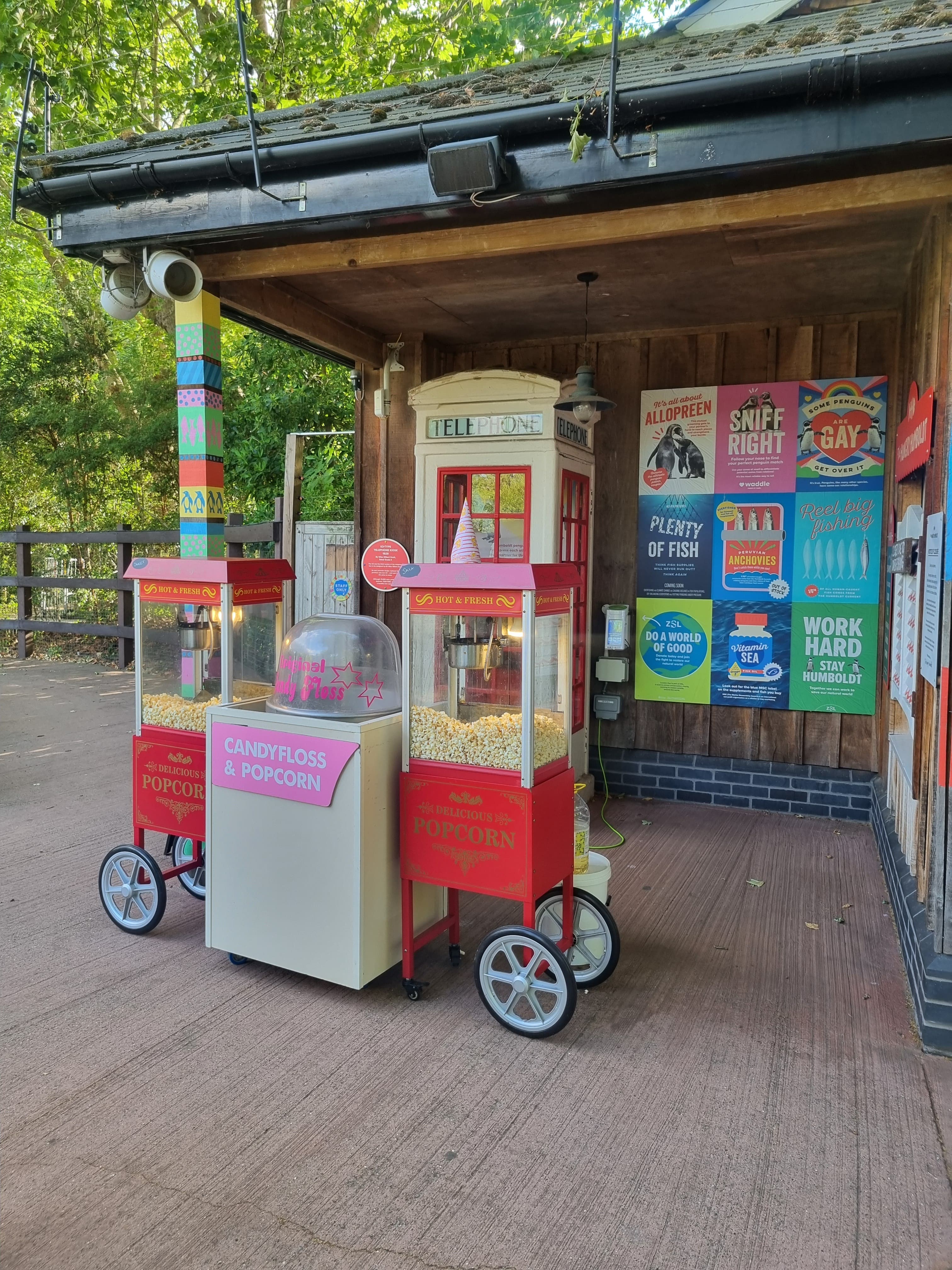 Summer Package 2026, Zsl London Zoo photo #6