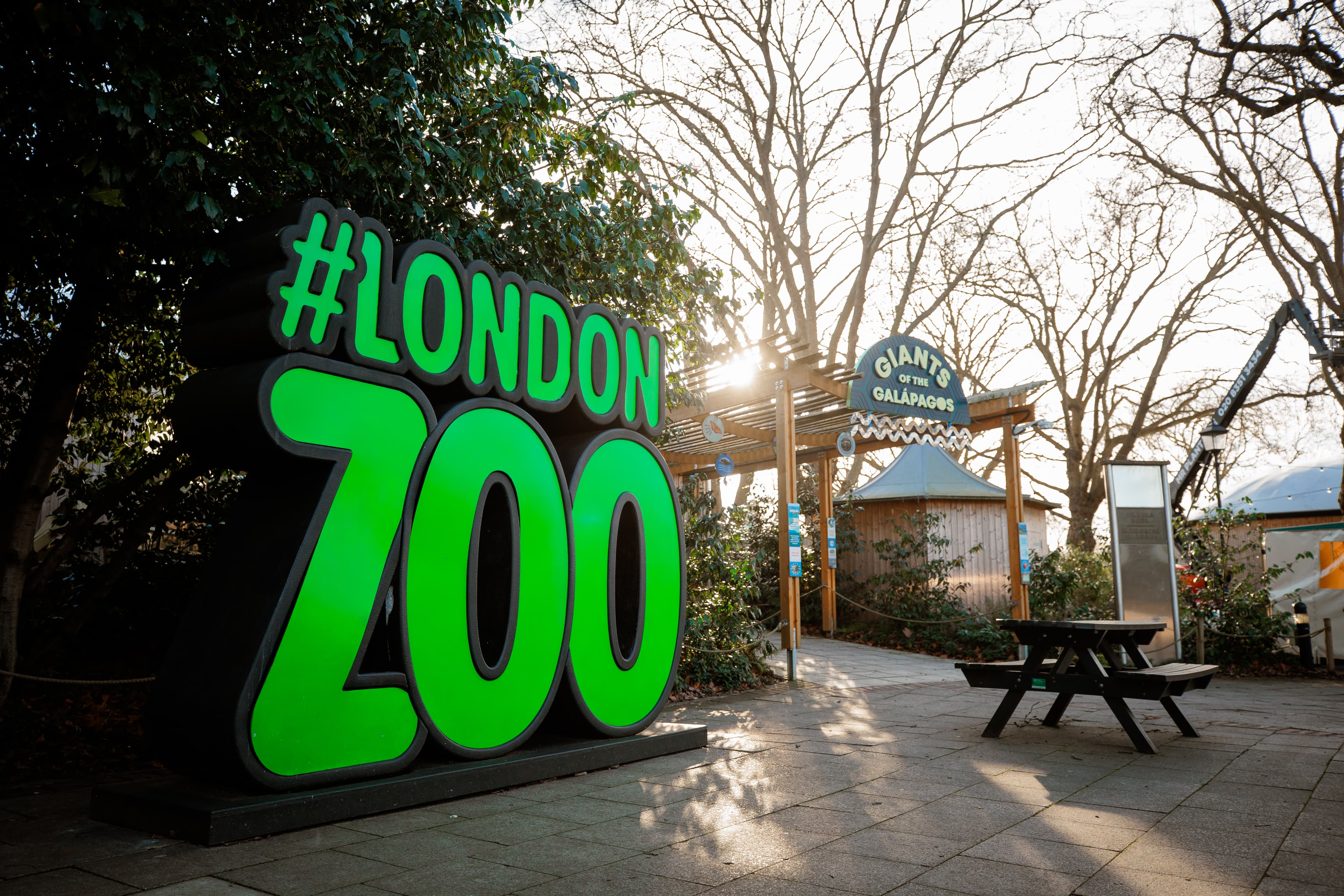 Summer Package 2026, Zsl London Zoo photo #3