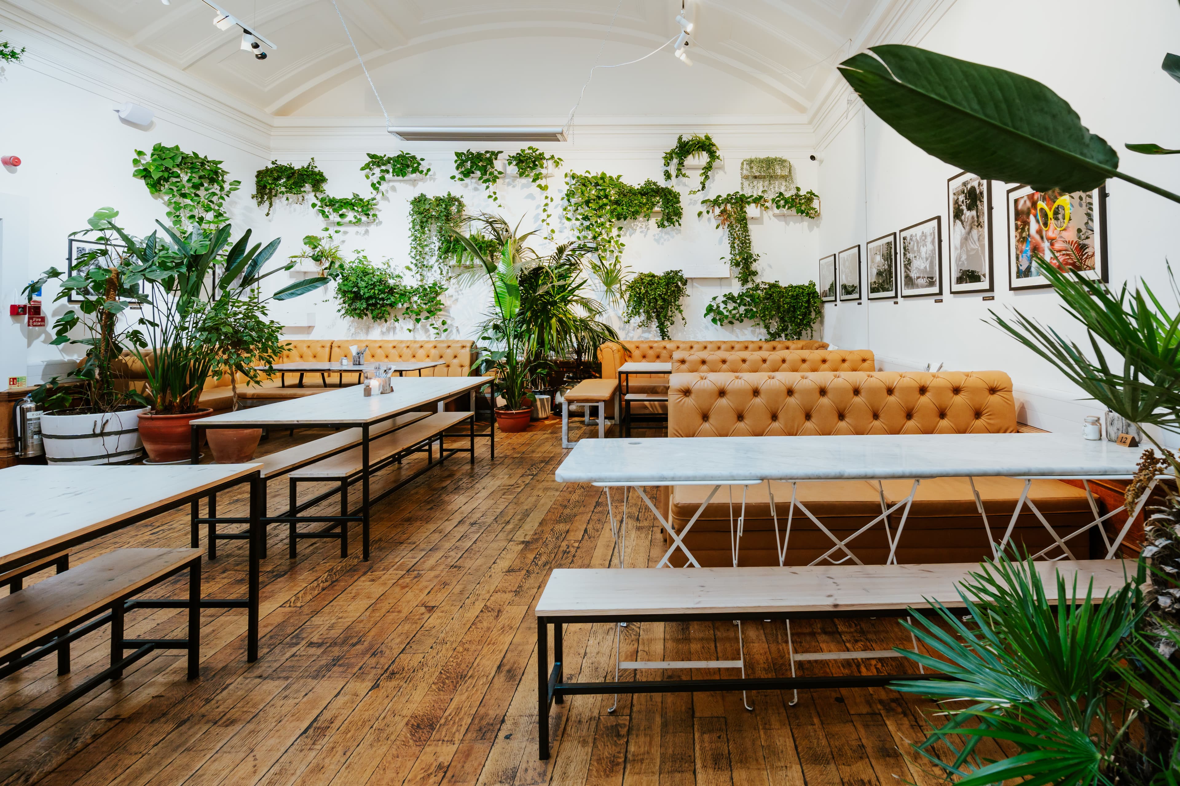 Exclusive Hire, Medicine Restaurant & Gallery photo #1