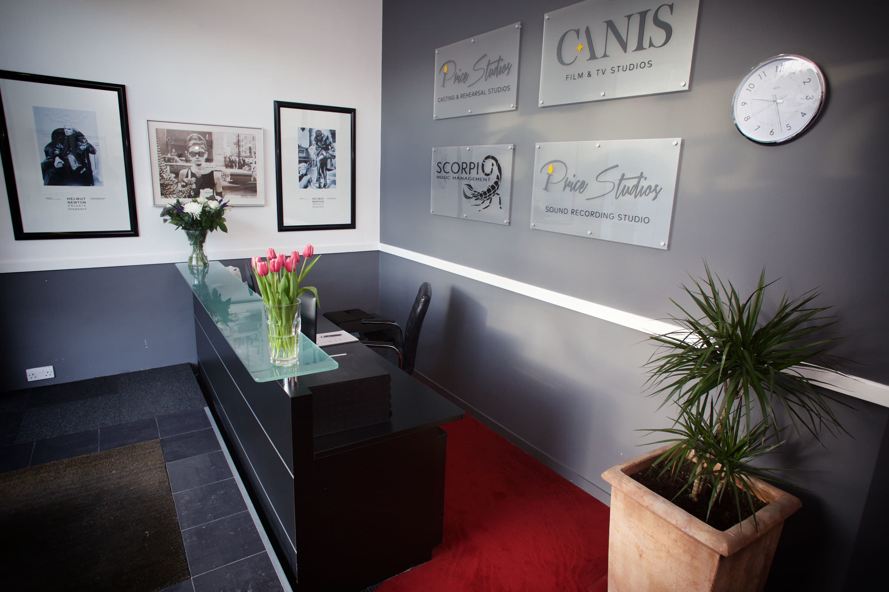 Media Studio, Price Studios Ltd photo #3