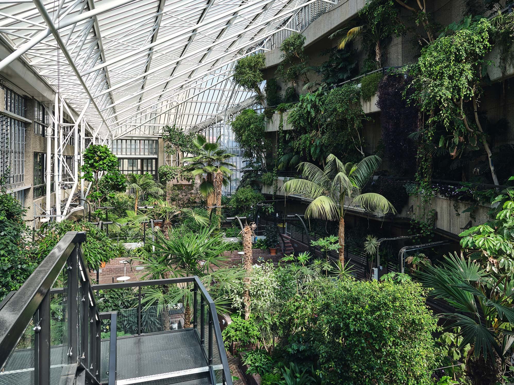 Conservatory, Barbican photo #1