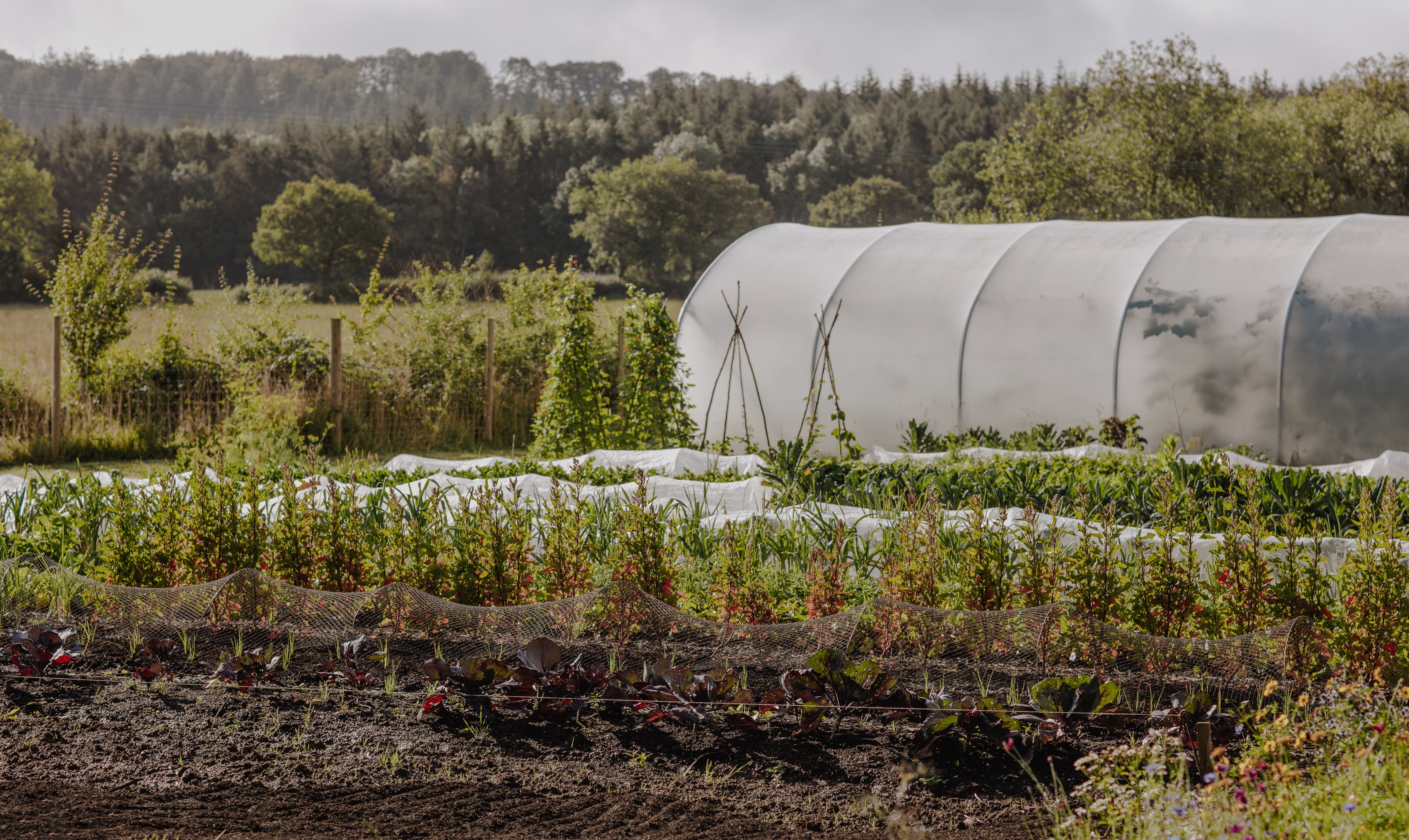 42 Acres - Exclusive Hire, 42 Acres photo #32