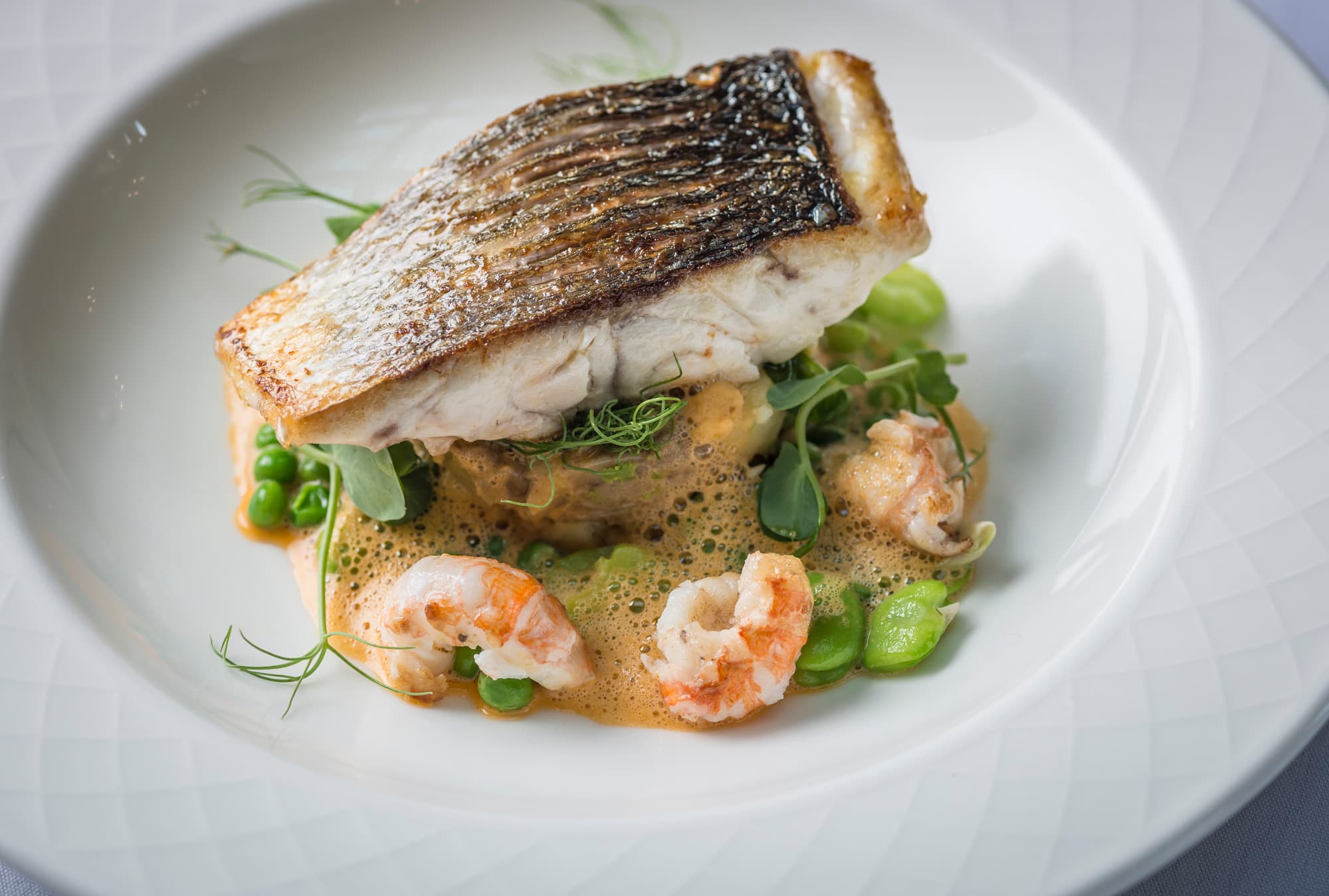 Grand Library, Clevedon Hall Estate photo #3