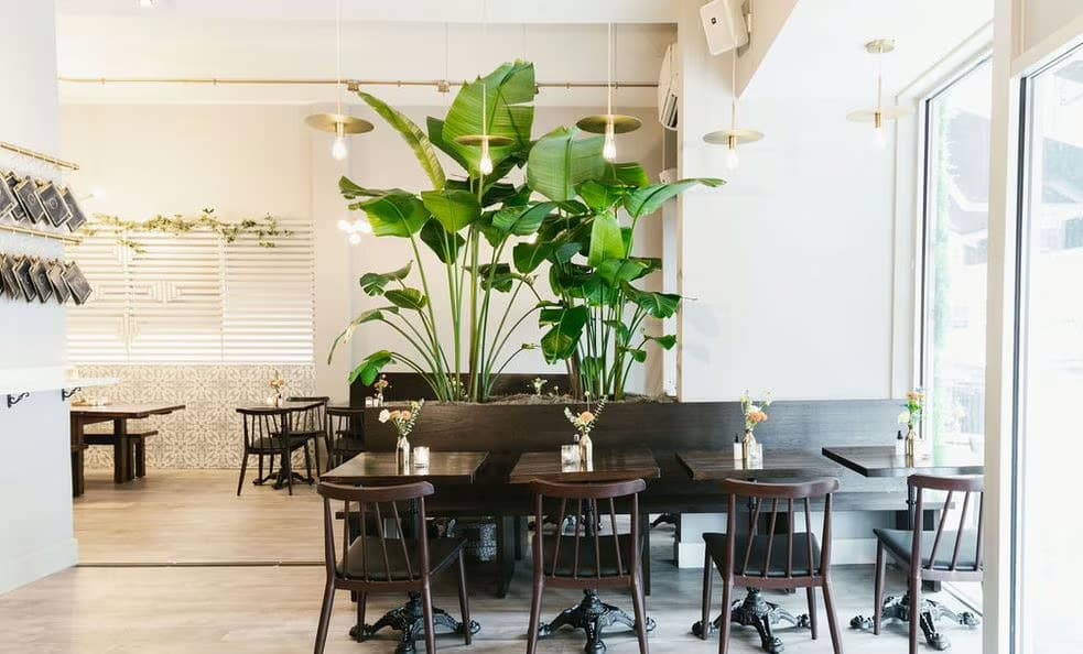 Entire Venue, Festival Cafe NYC photo #2