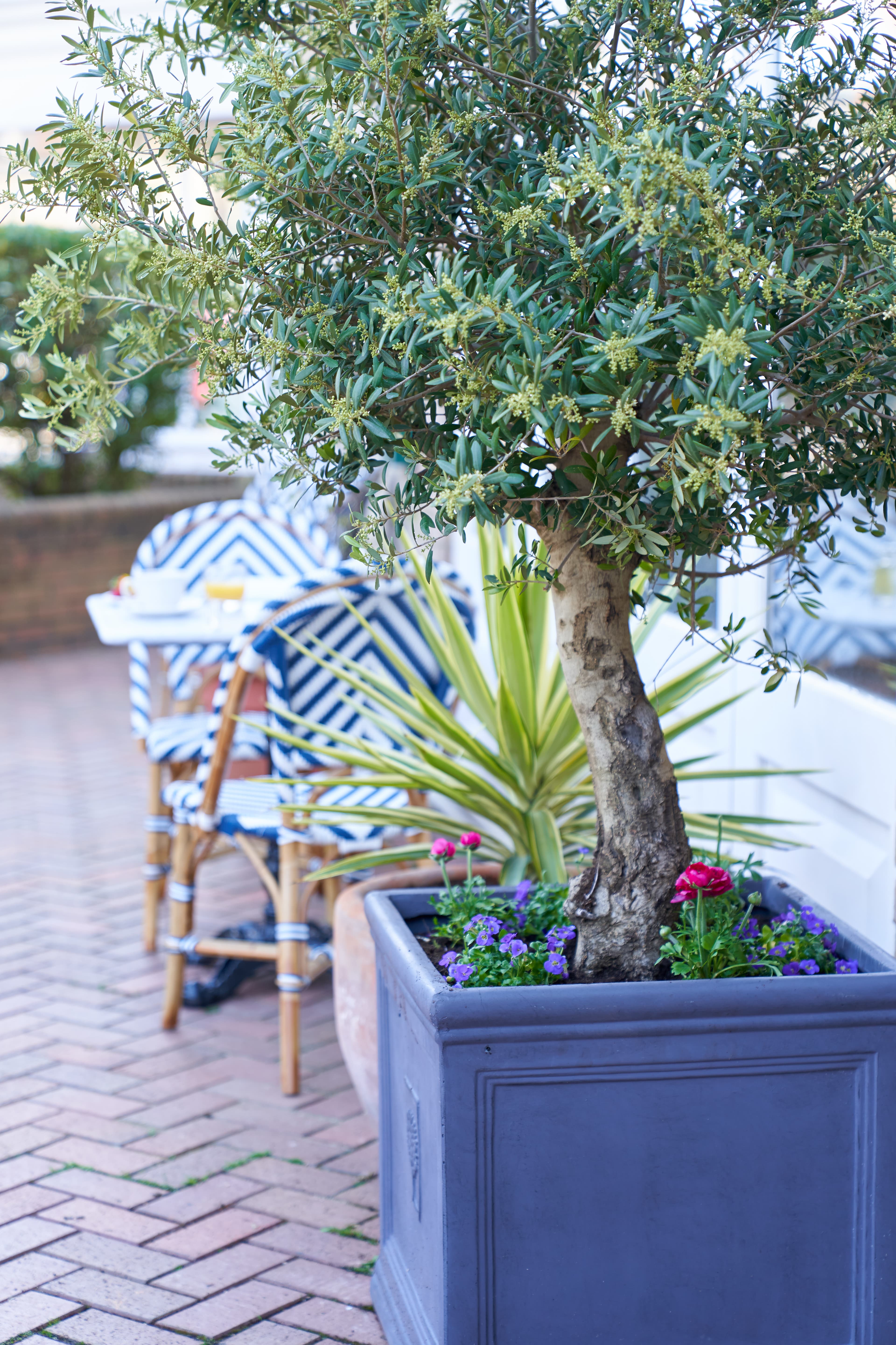 Exclusive Hire, Best Western Plus The Connaught Hotel photo #23