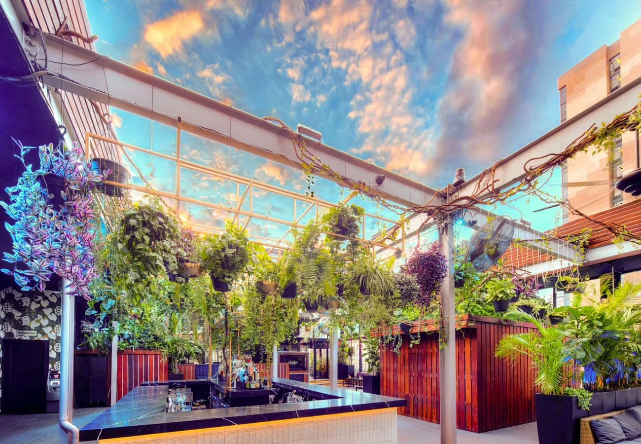 The Rooftop, The DL photo #2