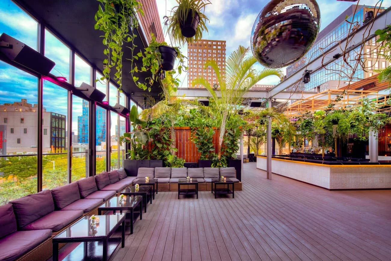 The Rooftop, The DL photo #1