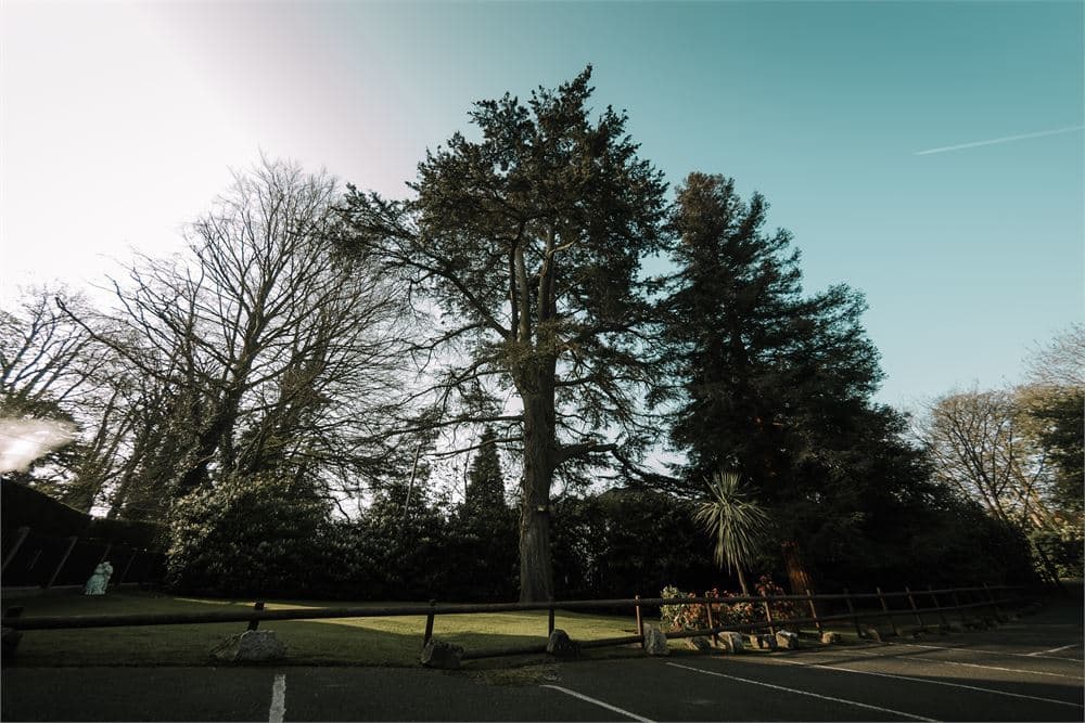 Exclusive Hire, The Grange And Cavendish Country Houses photo #2