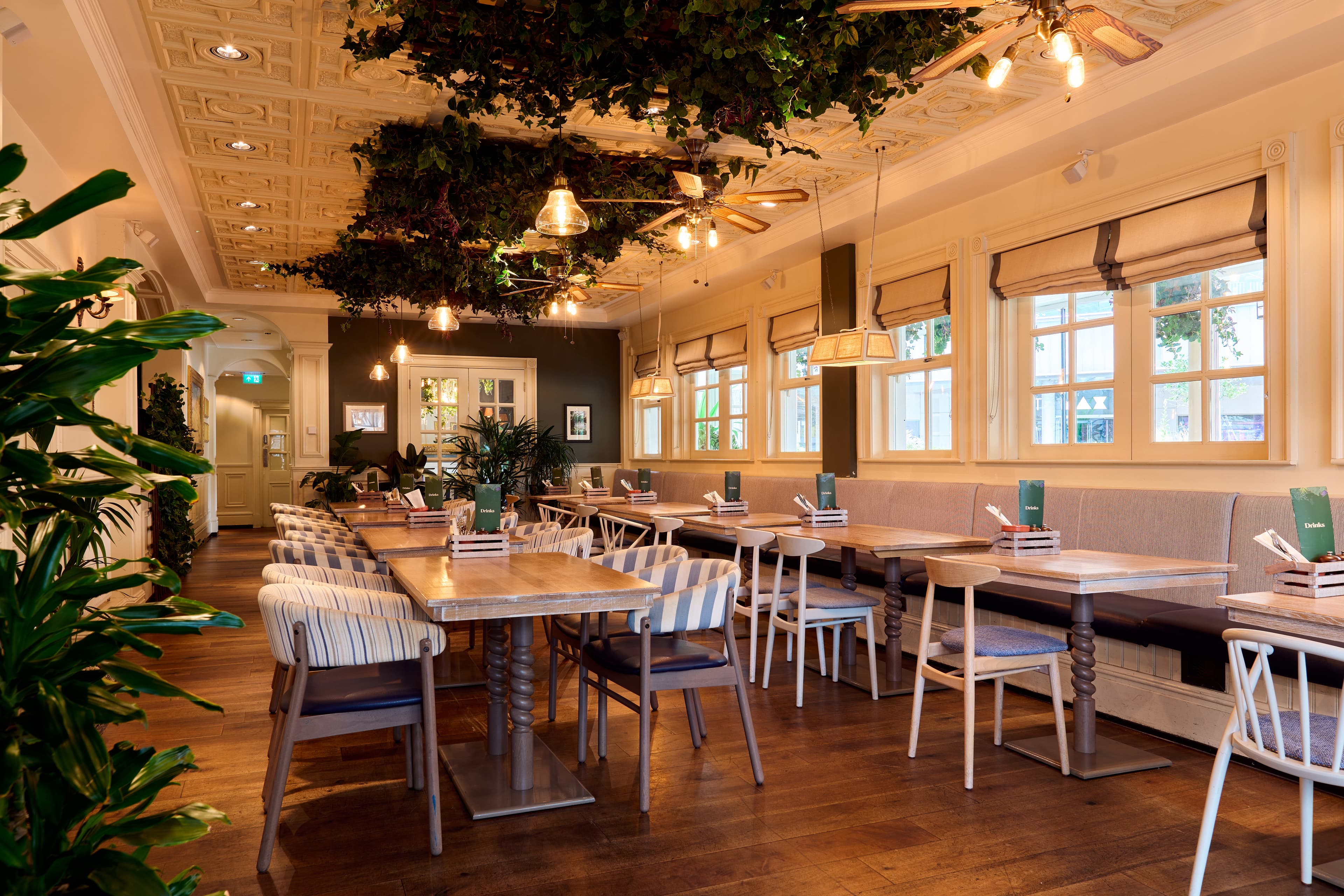 Whole Venue & Outside Terrace, The Botanist, Liverpool One photo #3