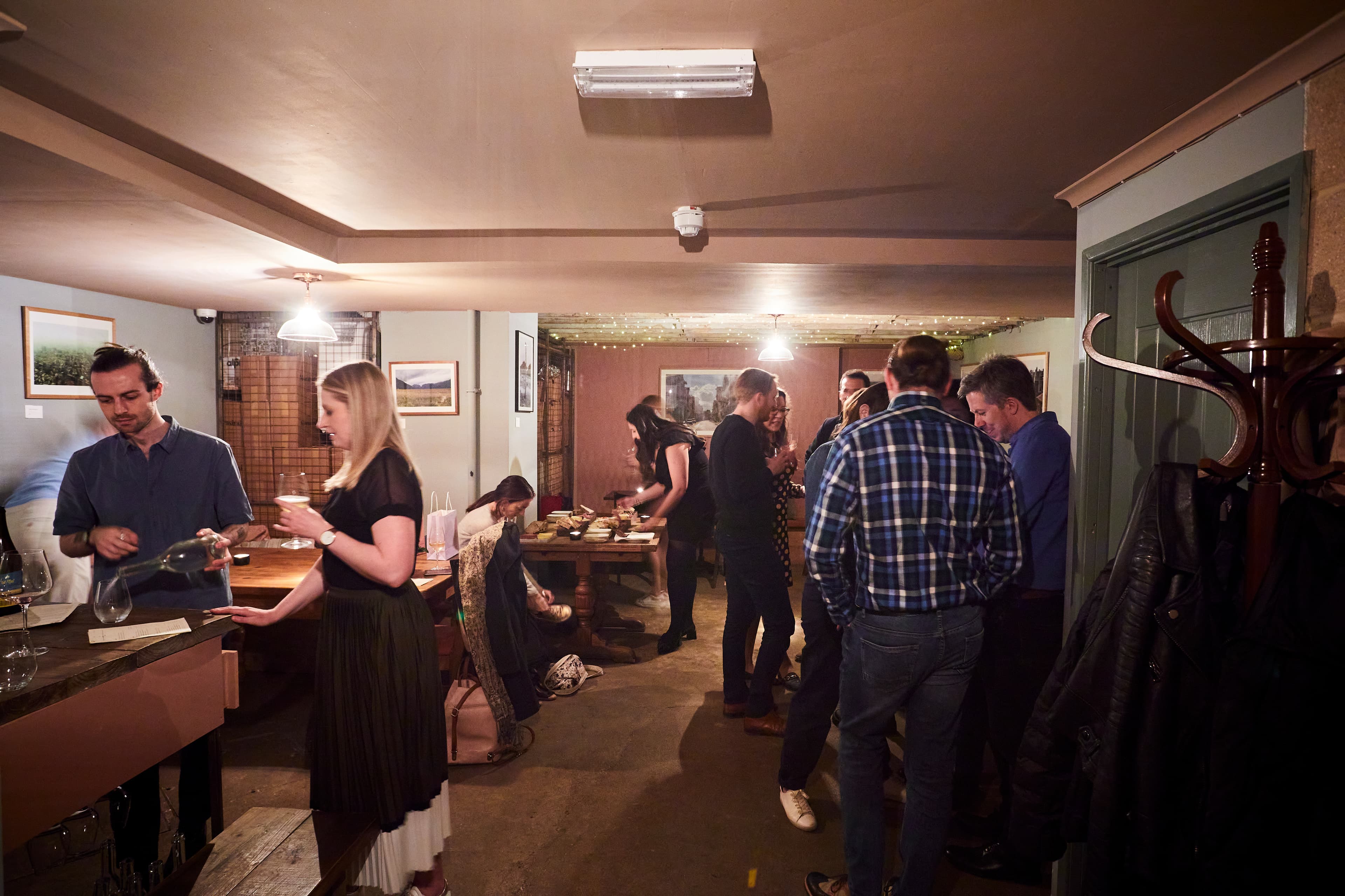 Wine Cellar, Diogenes The Dog photo #3