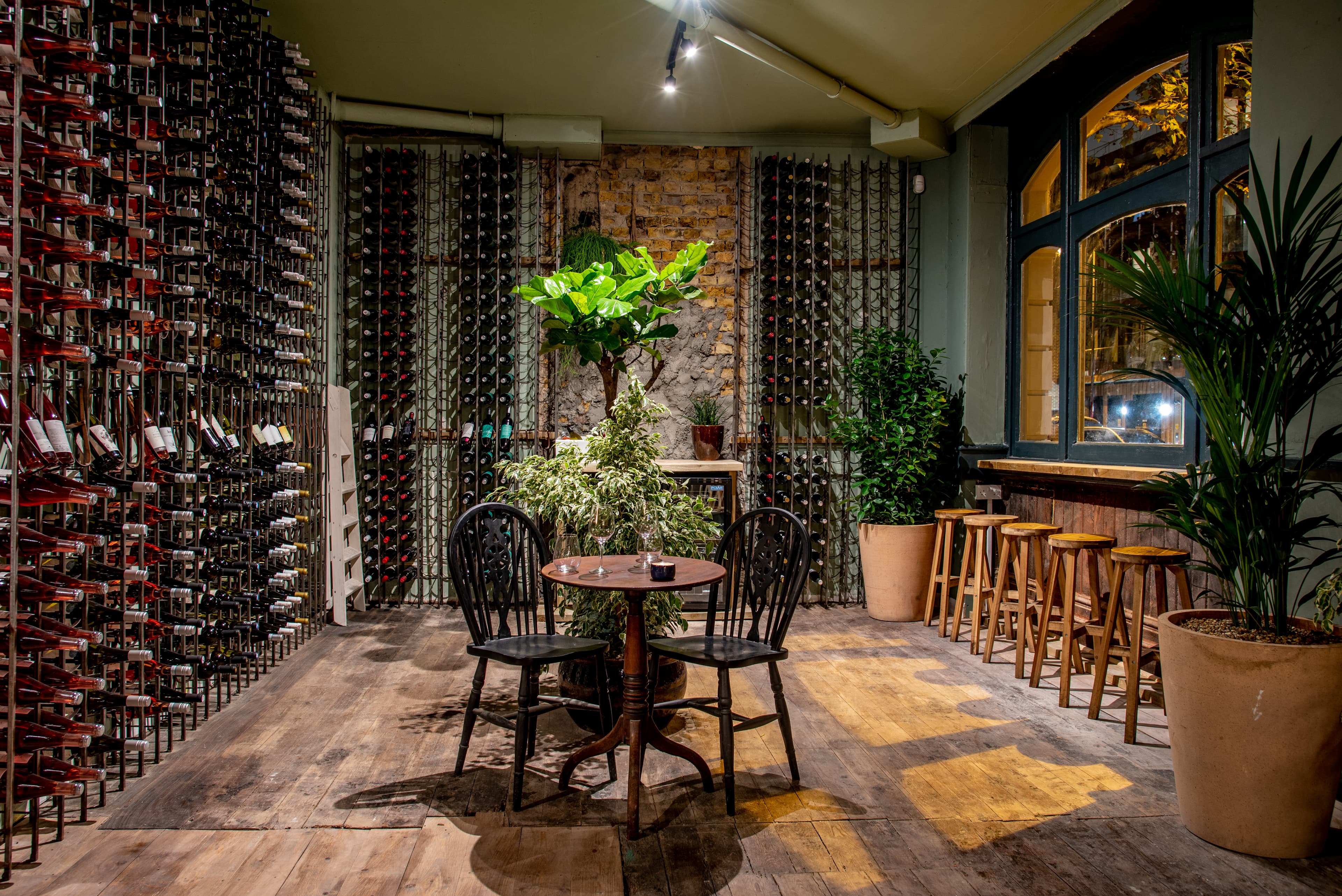 Full Venue, Diogenes The Dog photo #1