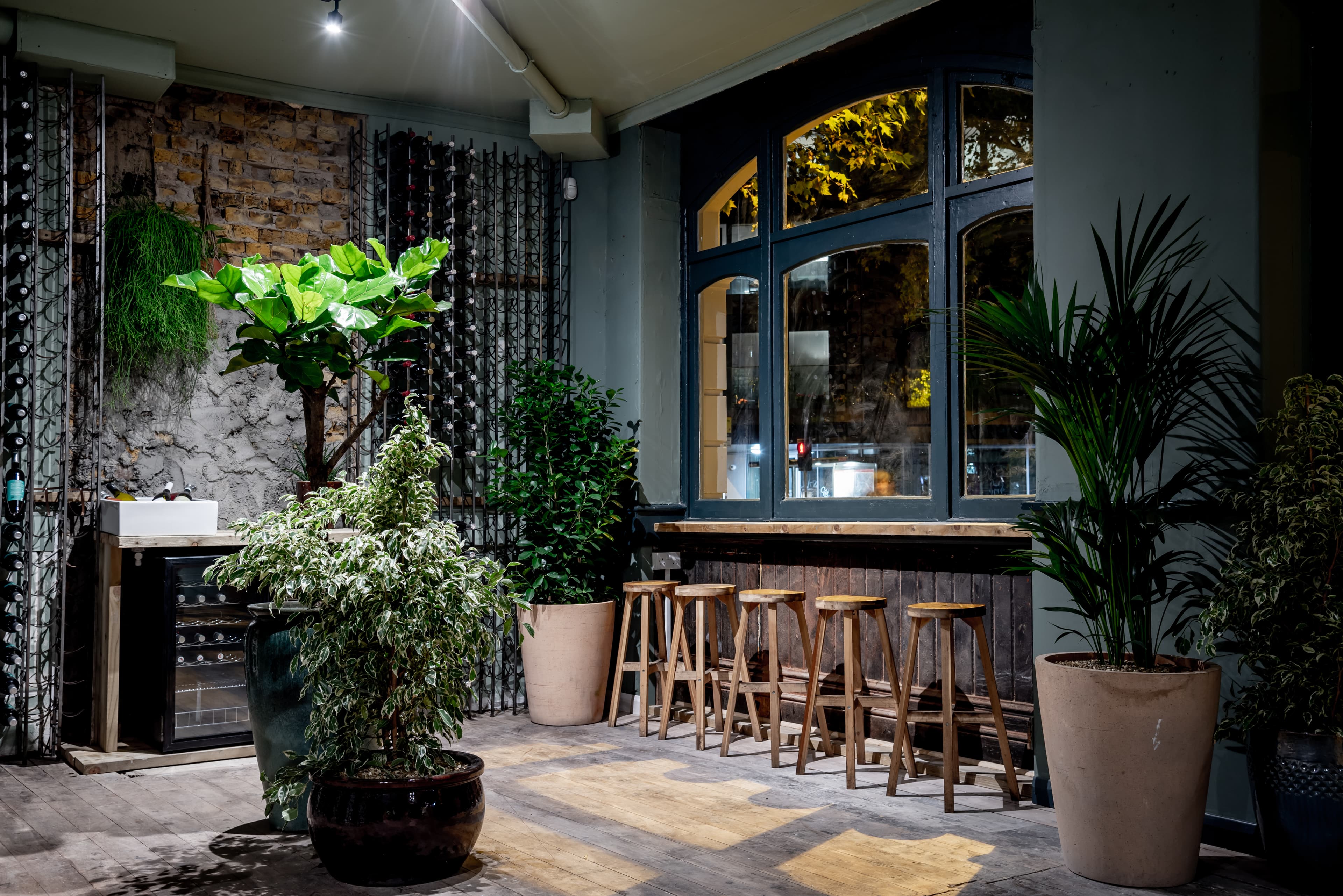 Full Venue, Diogenes The Dog photo #2