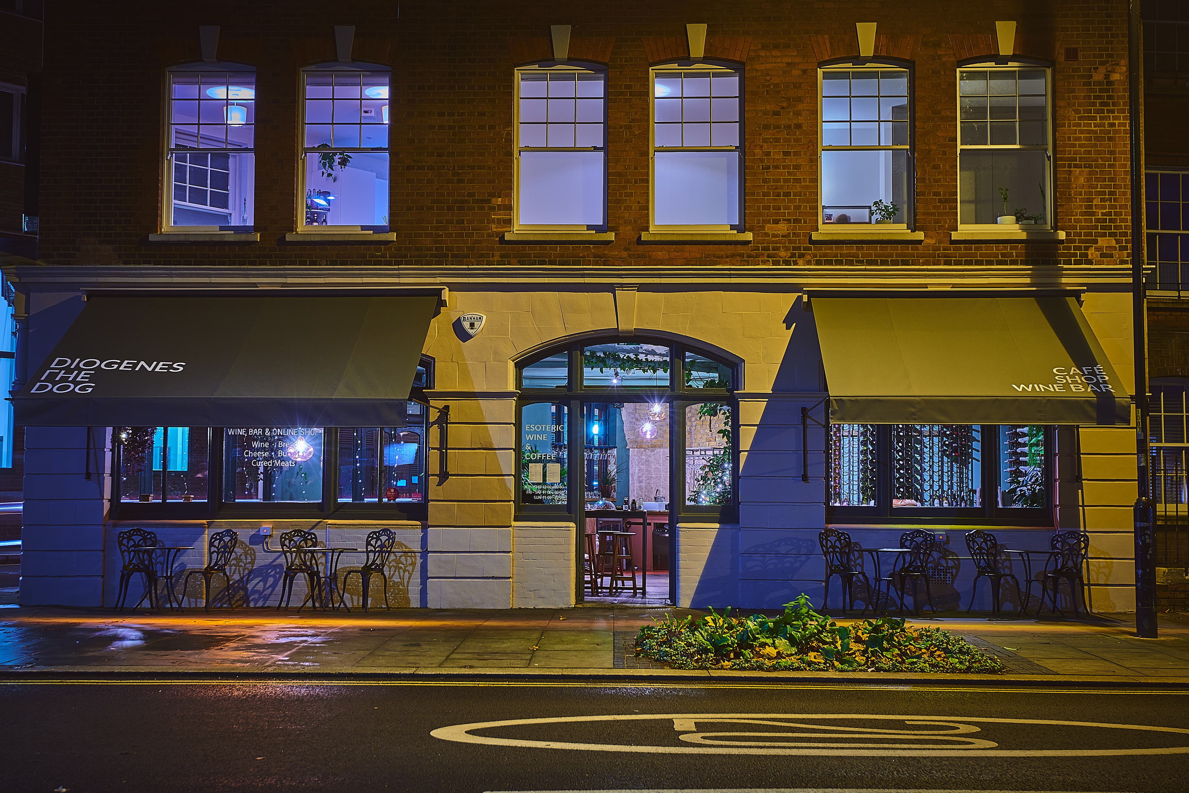 Photo of Diogenes The Dog