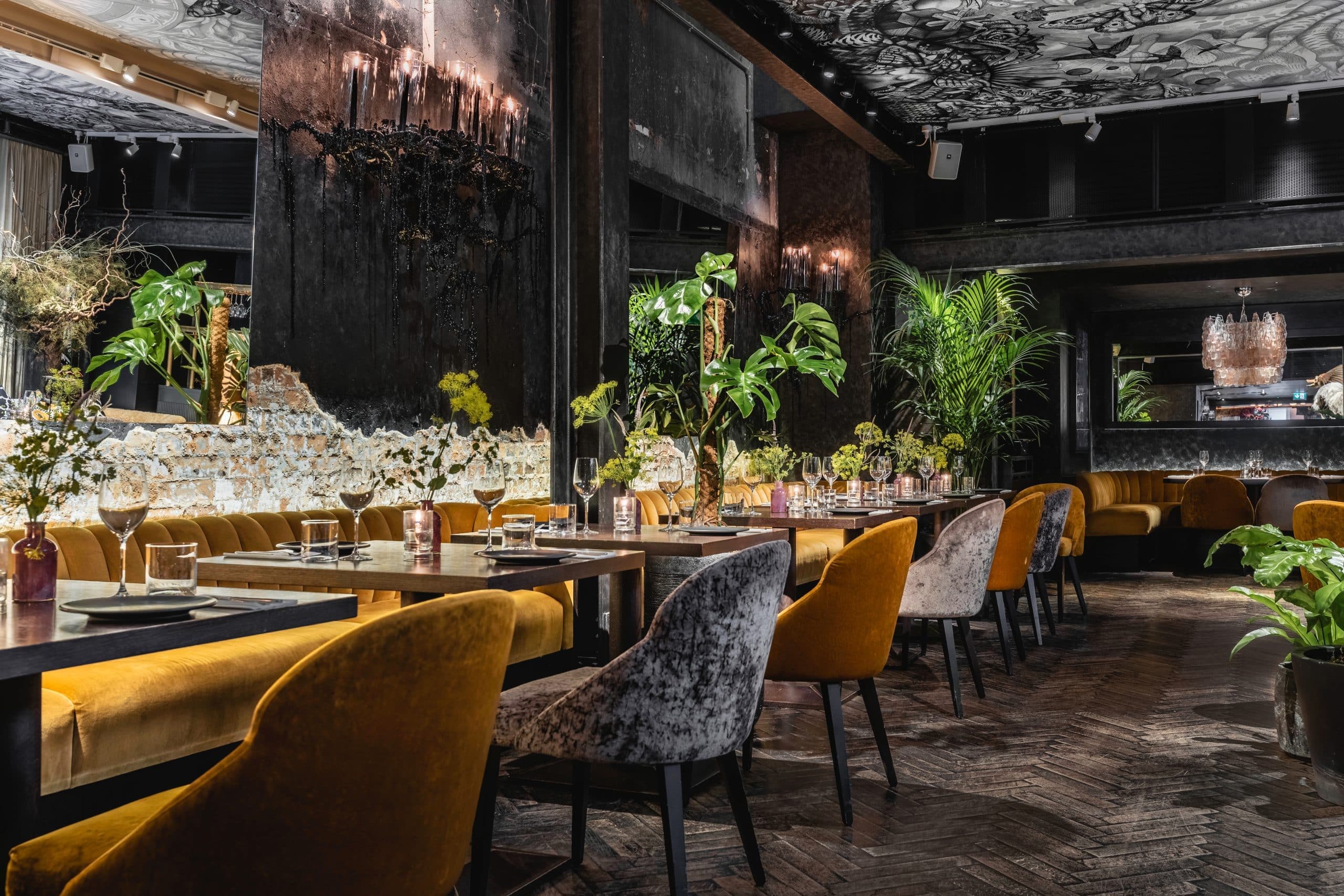 YOPO Restaurant, The Mandrake photo #2