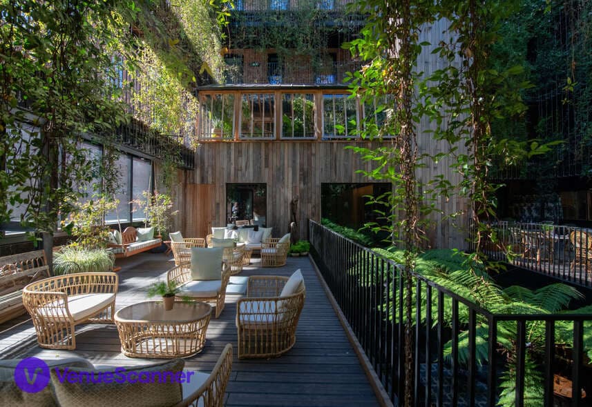 The Mandrake photo #3