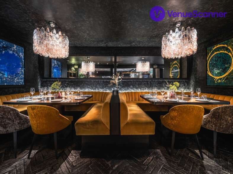 The Mandrake, The Library photo #3