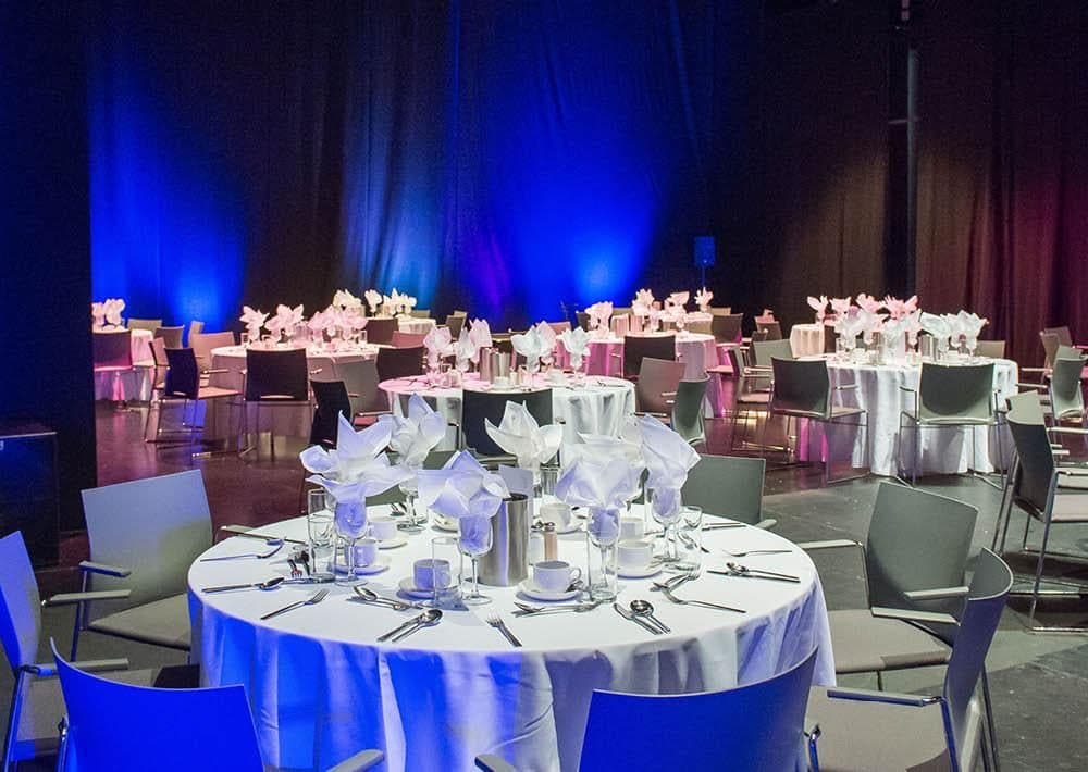 Downstairs Theatre, The Mac photo #2