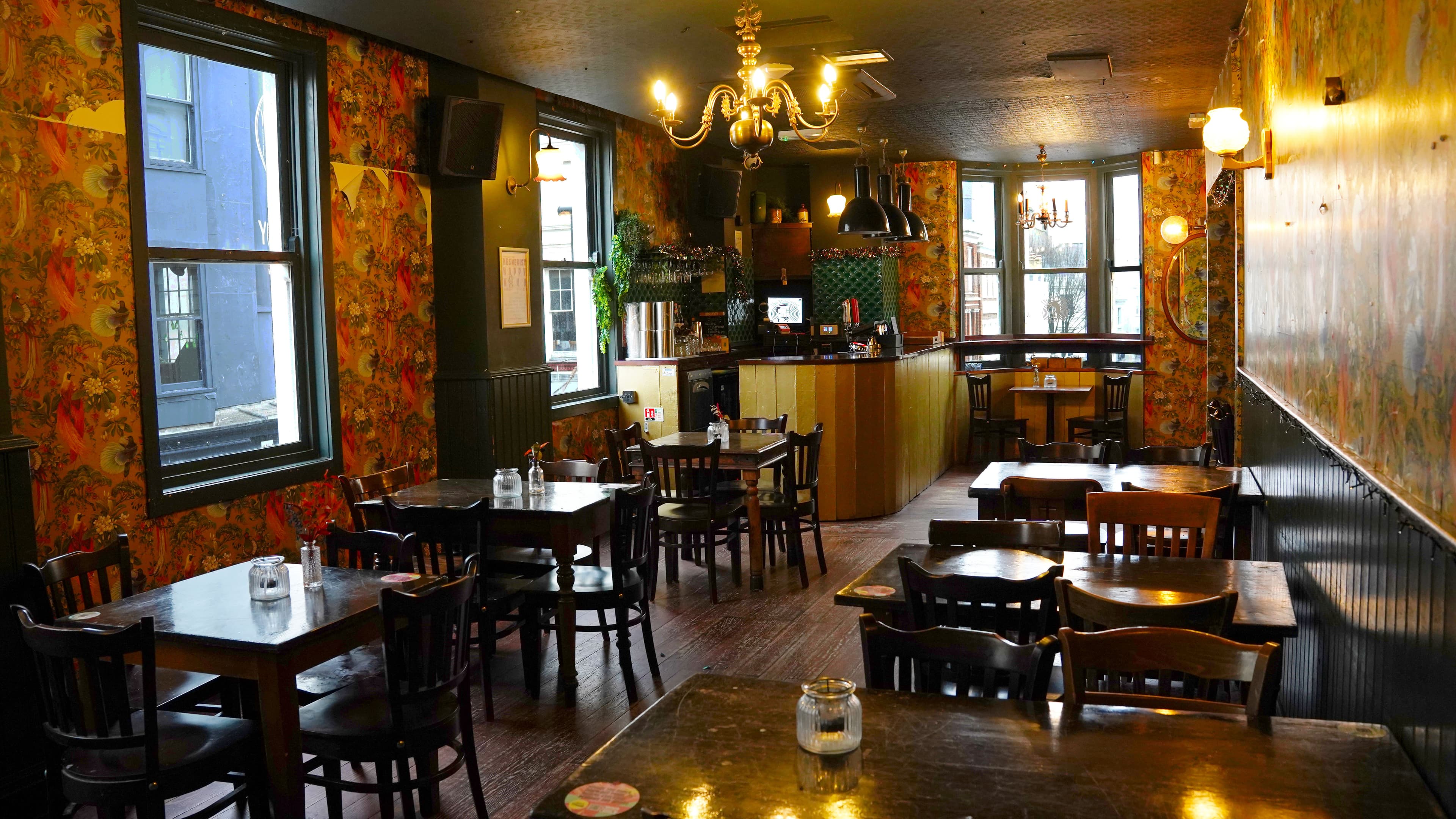 The Bird Cage, The Mesmerist photo #1