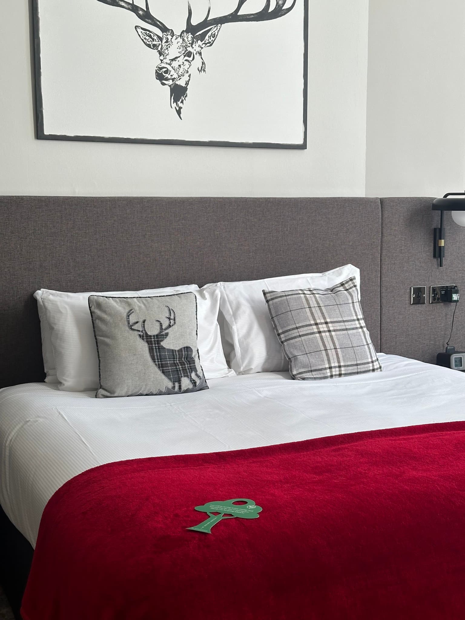 Cardoon Suite, Bruntsfield Hotel photo #21