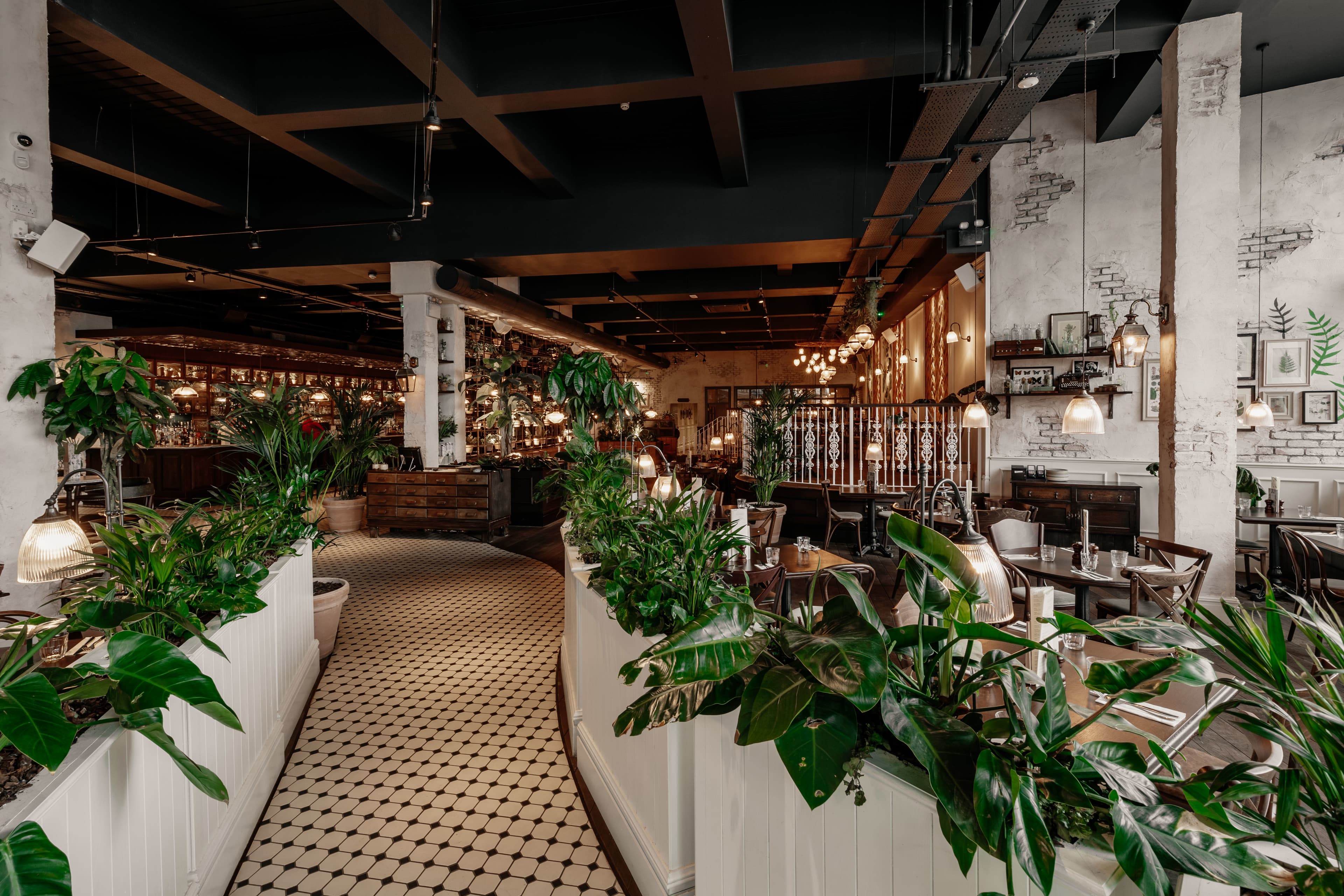 Whole Venue, The Botanist Cheltenham photo #2