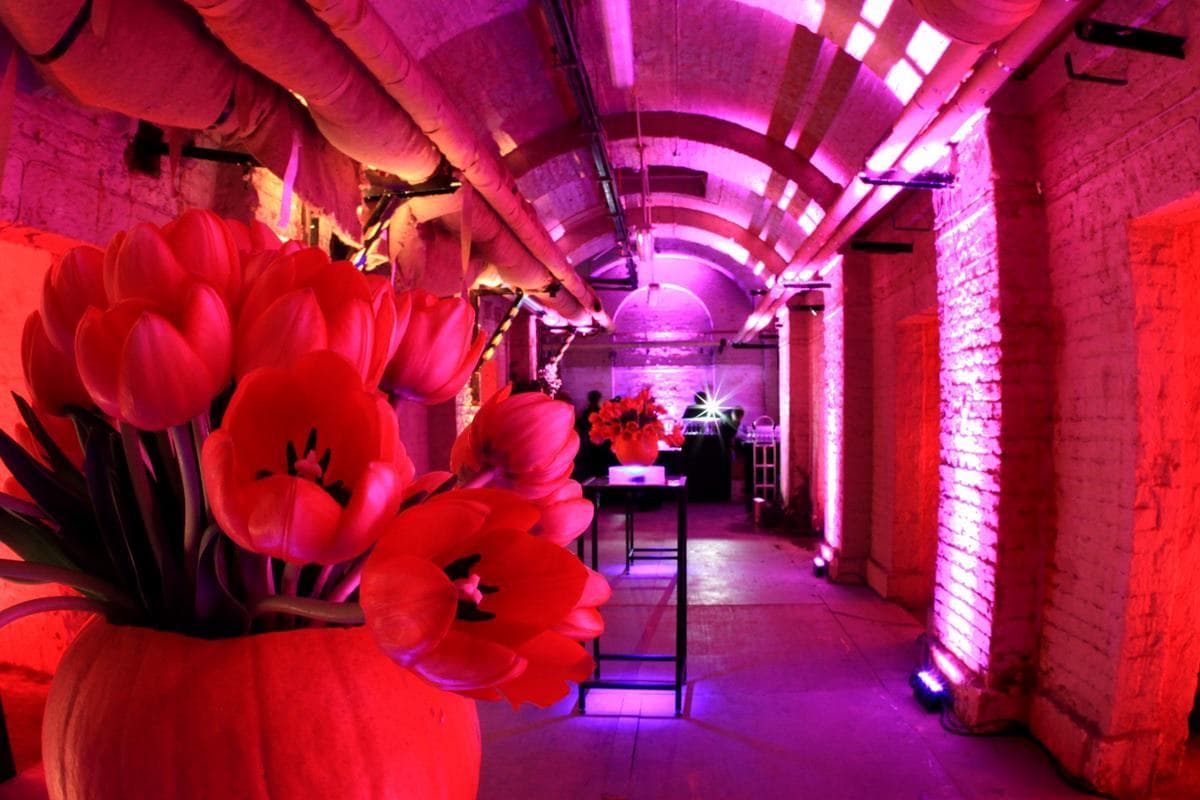 The Lightwells And Deadhouse