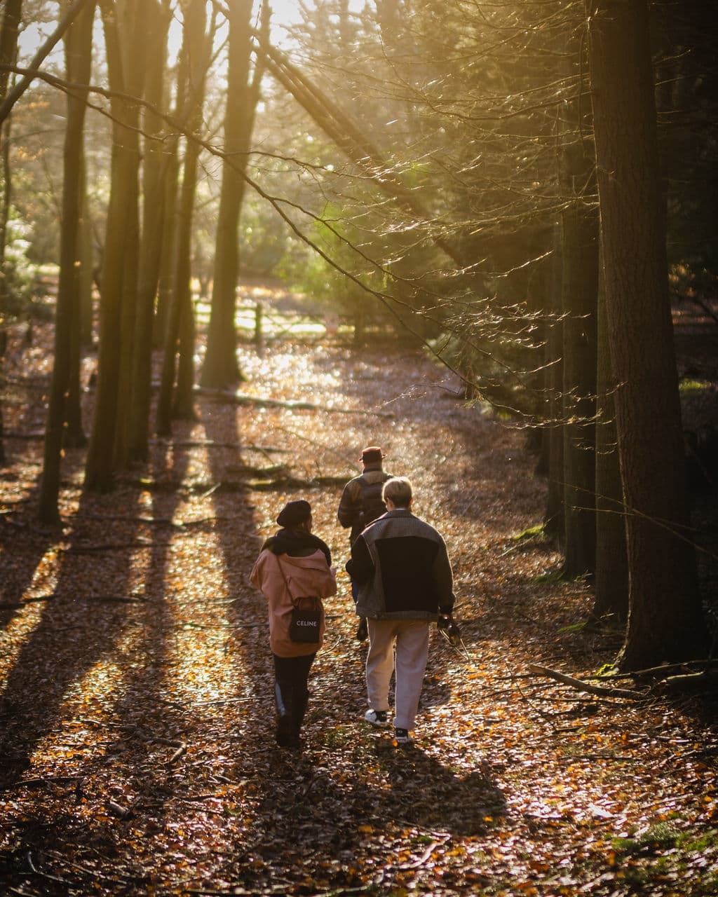 Photo of Nomadic Dinners