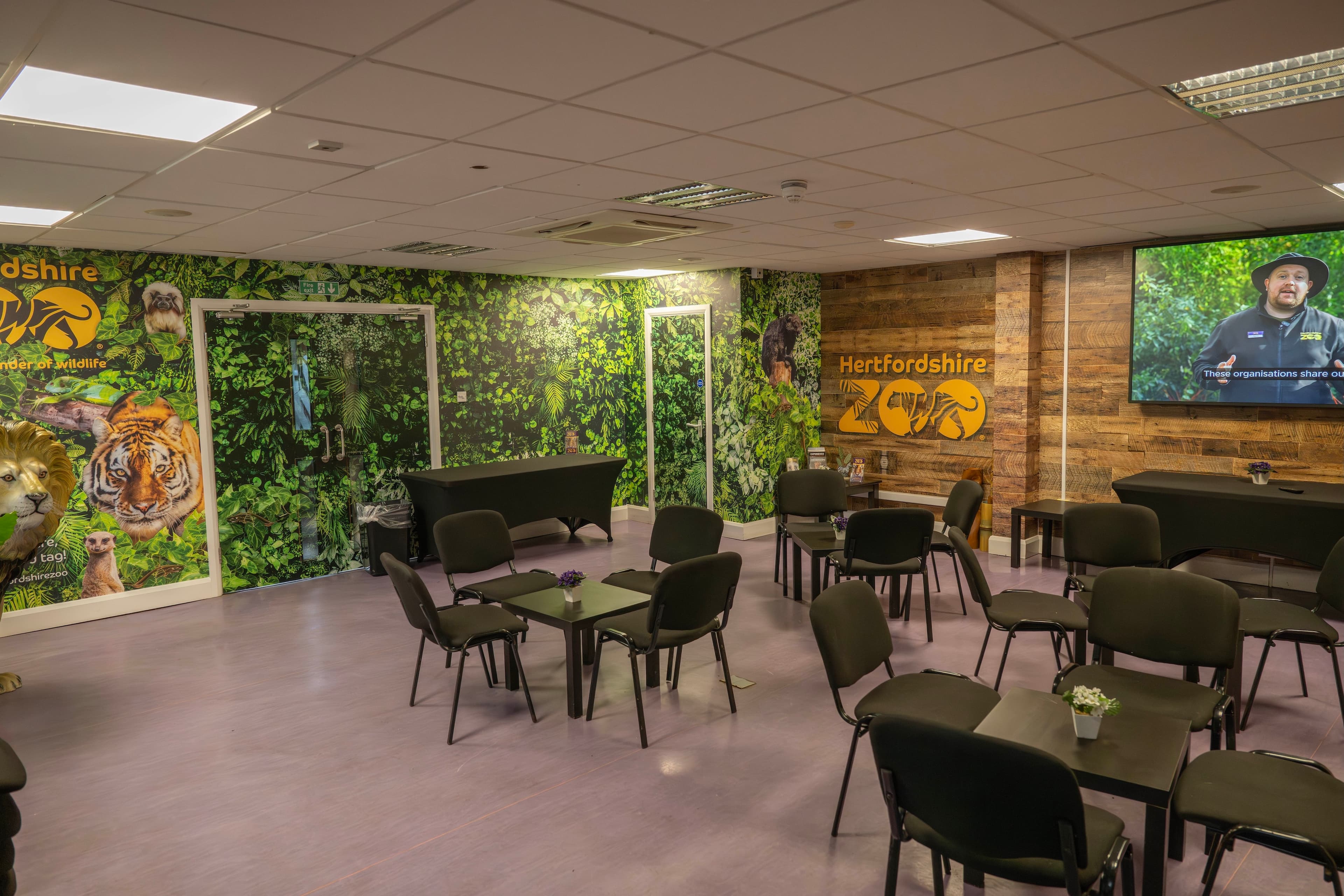 Zoo HQ Hub, Hertfordshire Zoo photo #2