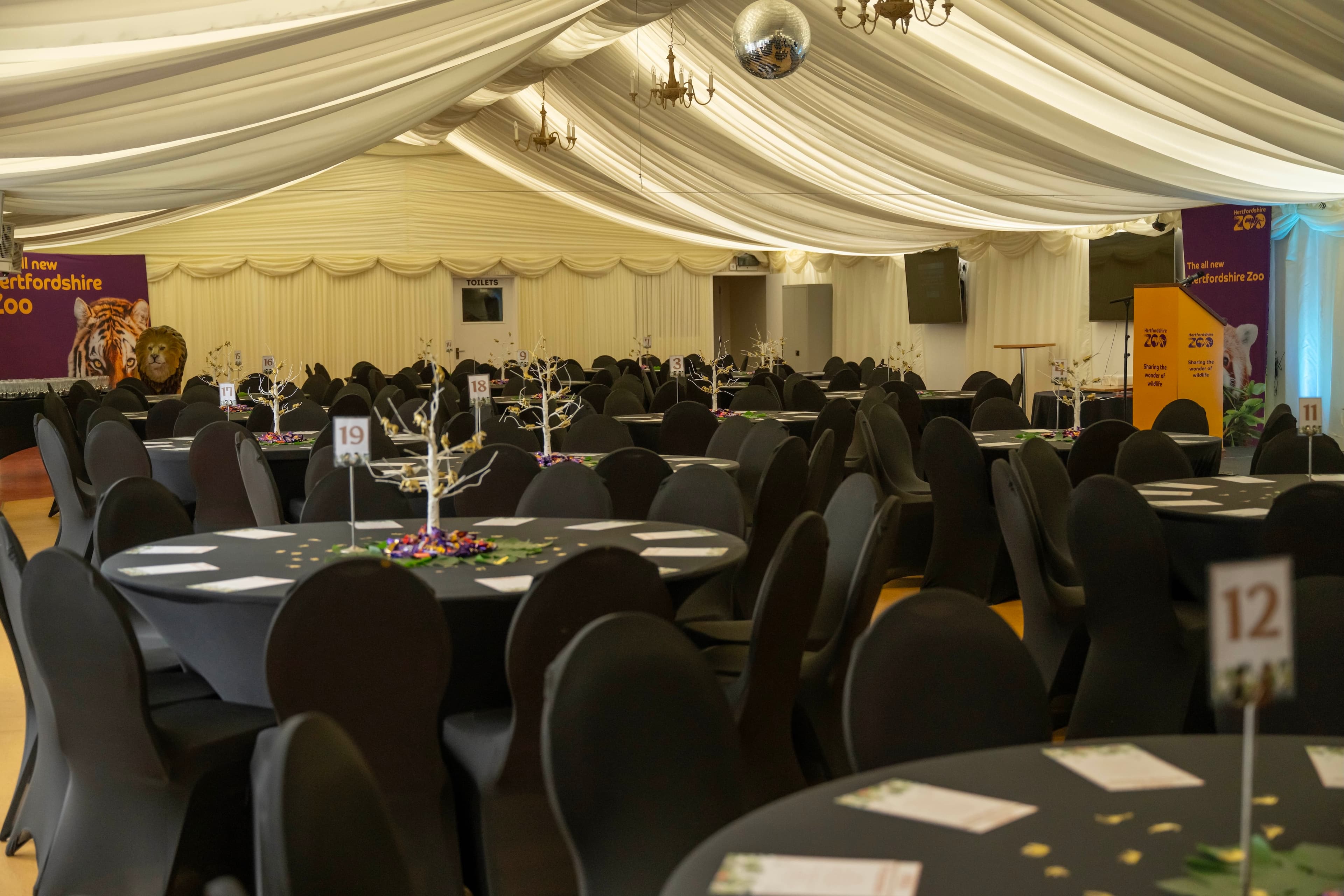 The Mane Venue, Hertfordshire Zoo photo #2