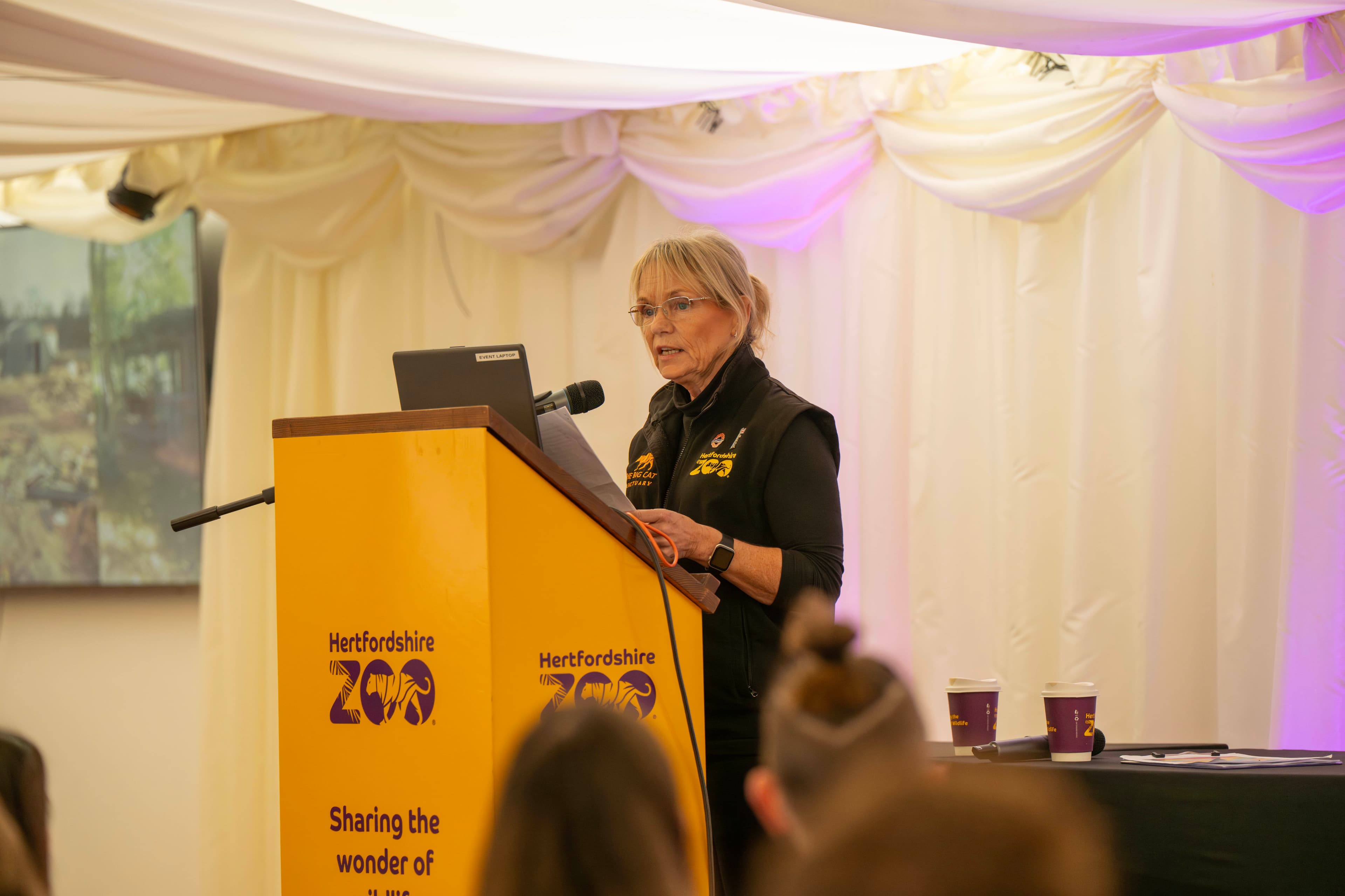 Tiger Venue, Hertfordshire Zoo photo #21