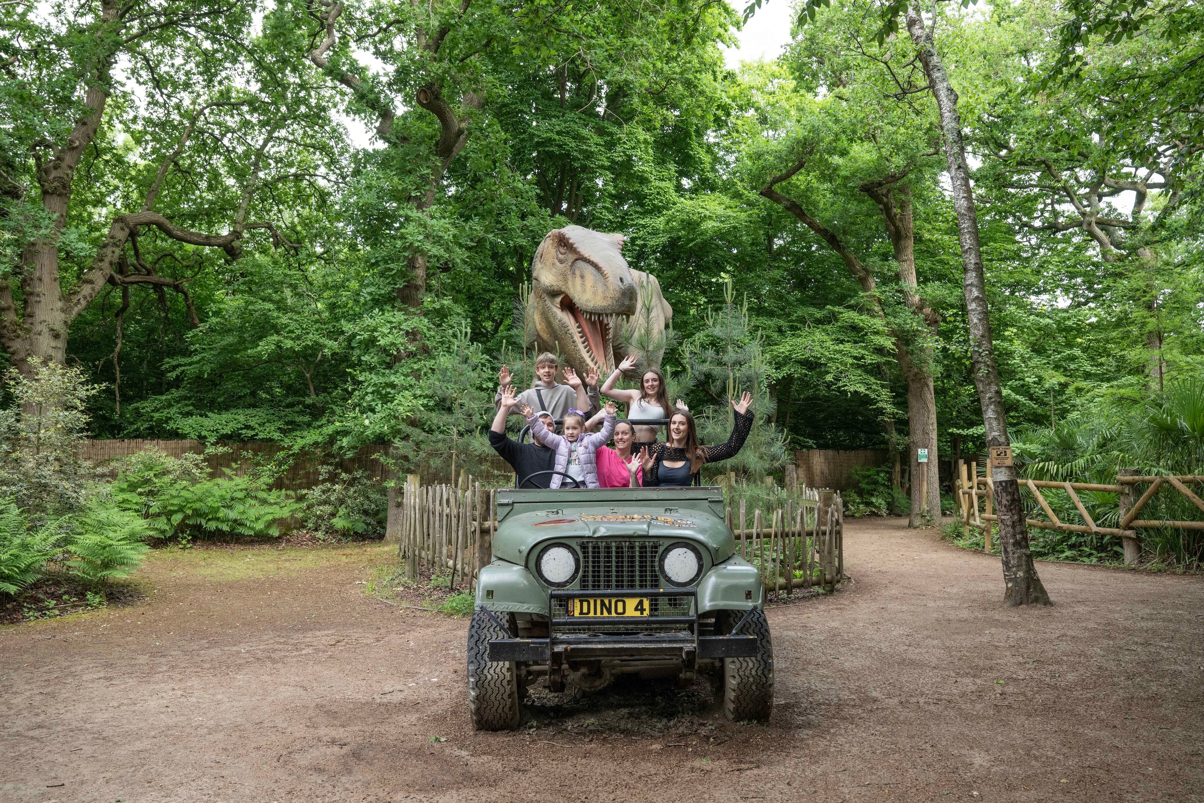 Tiger Venue, Hertfordshire Zoo photo #14
