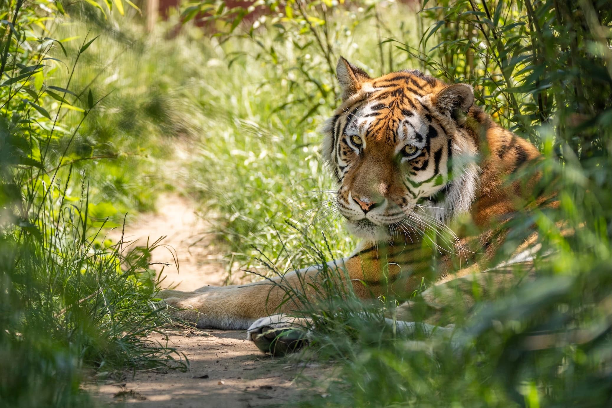 Whole Site, Hertfordshire Zoo photo #2