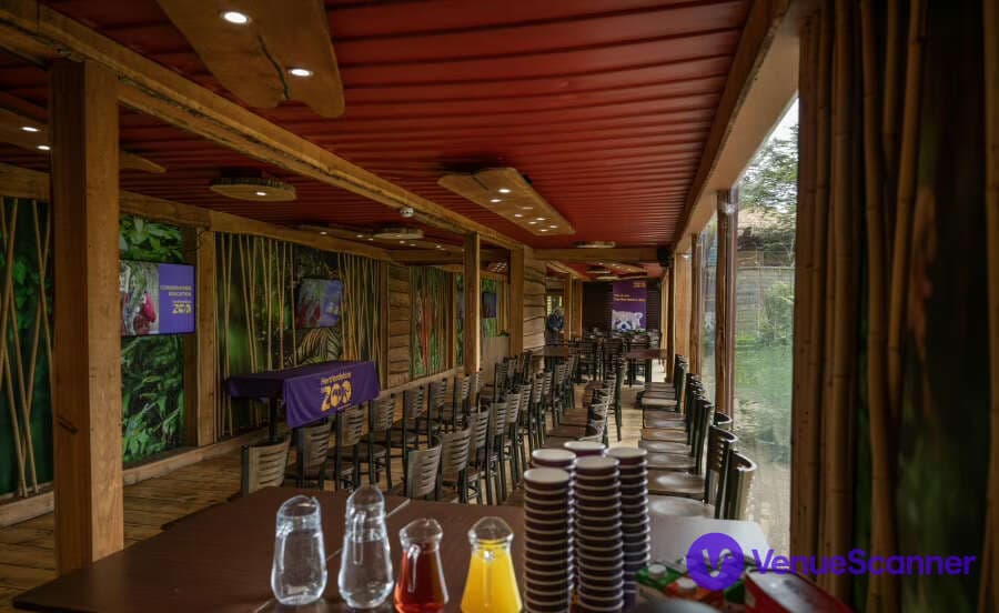 Hertfordshire Zoo, Tiger Venue photo #3