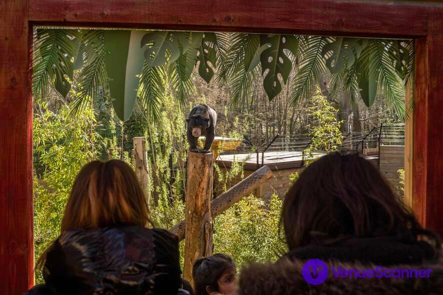 Hertfordshire Zoo, Sunbear Venue photo #3