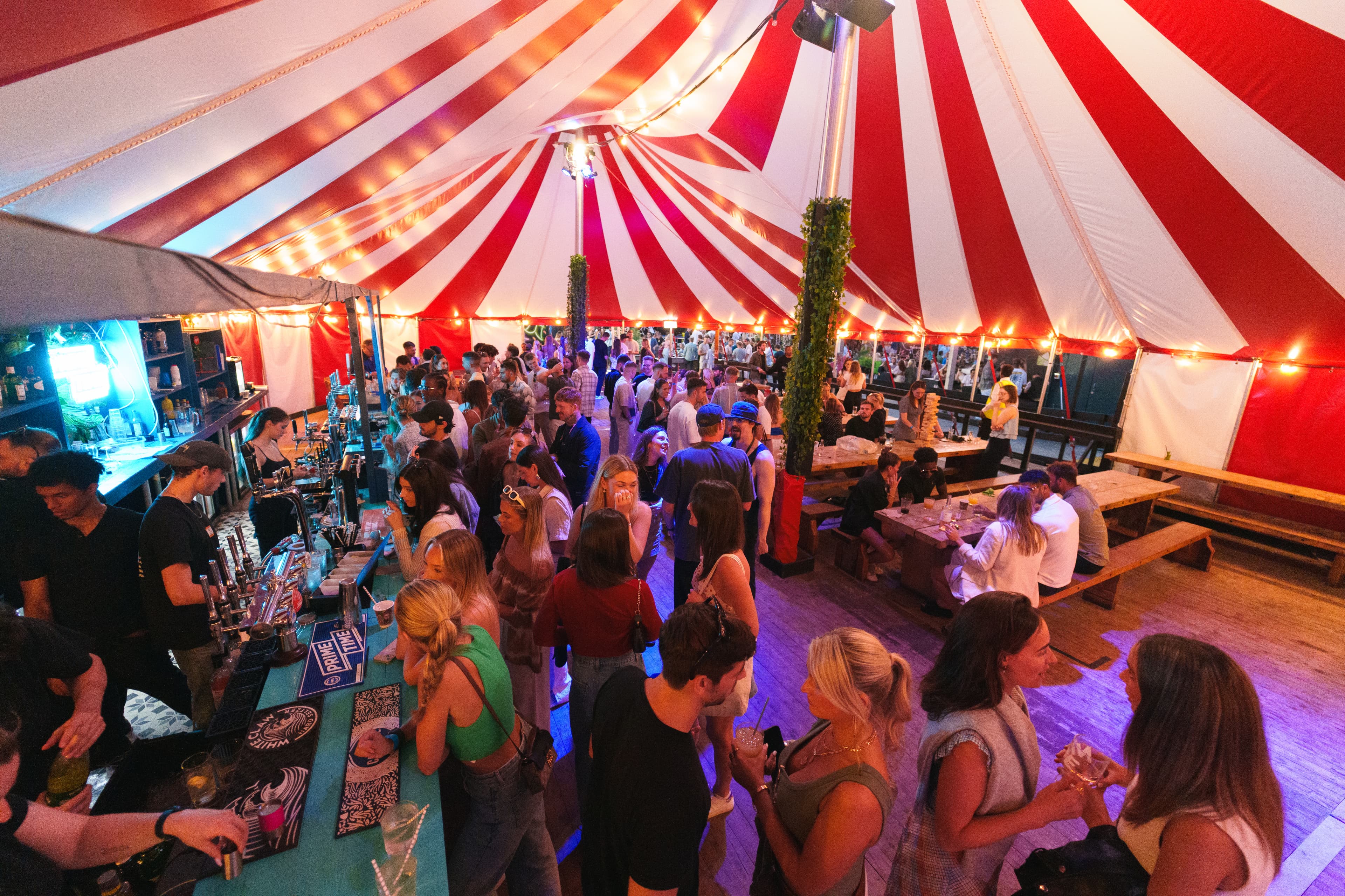 Tent, Urban Oasis photo #1