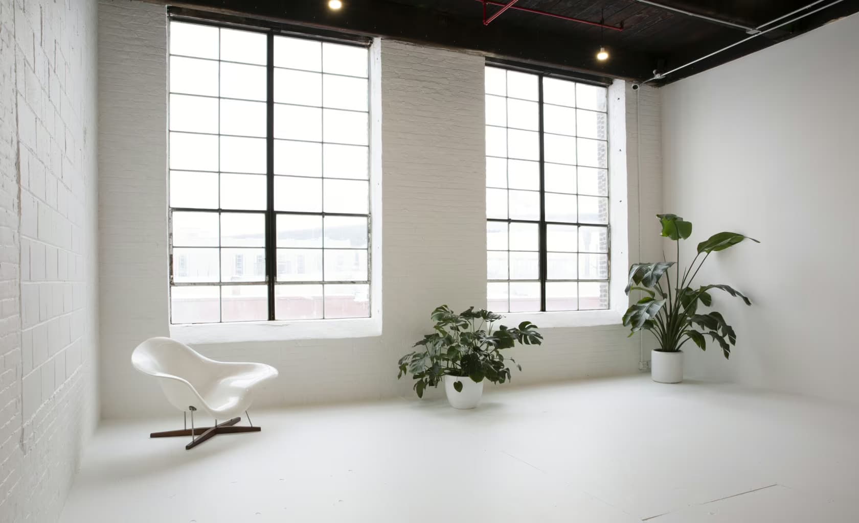 Thank You Studio, Please Space photo #1