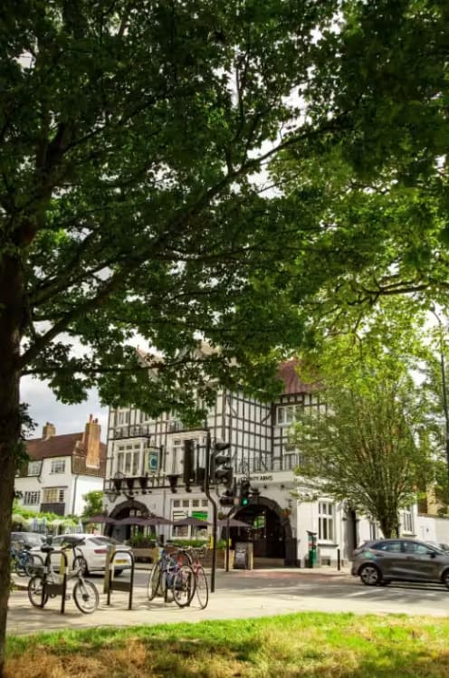 The Belvedere, County Arms photo #23
