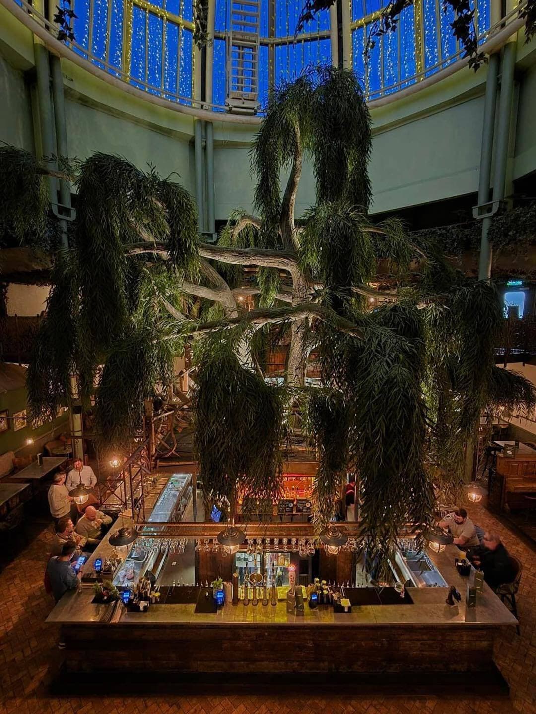 Exclusive Hire, The Botanist Newcastle photo #2