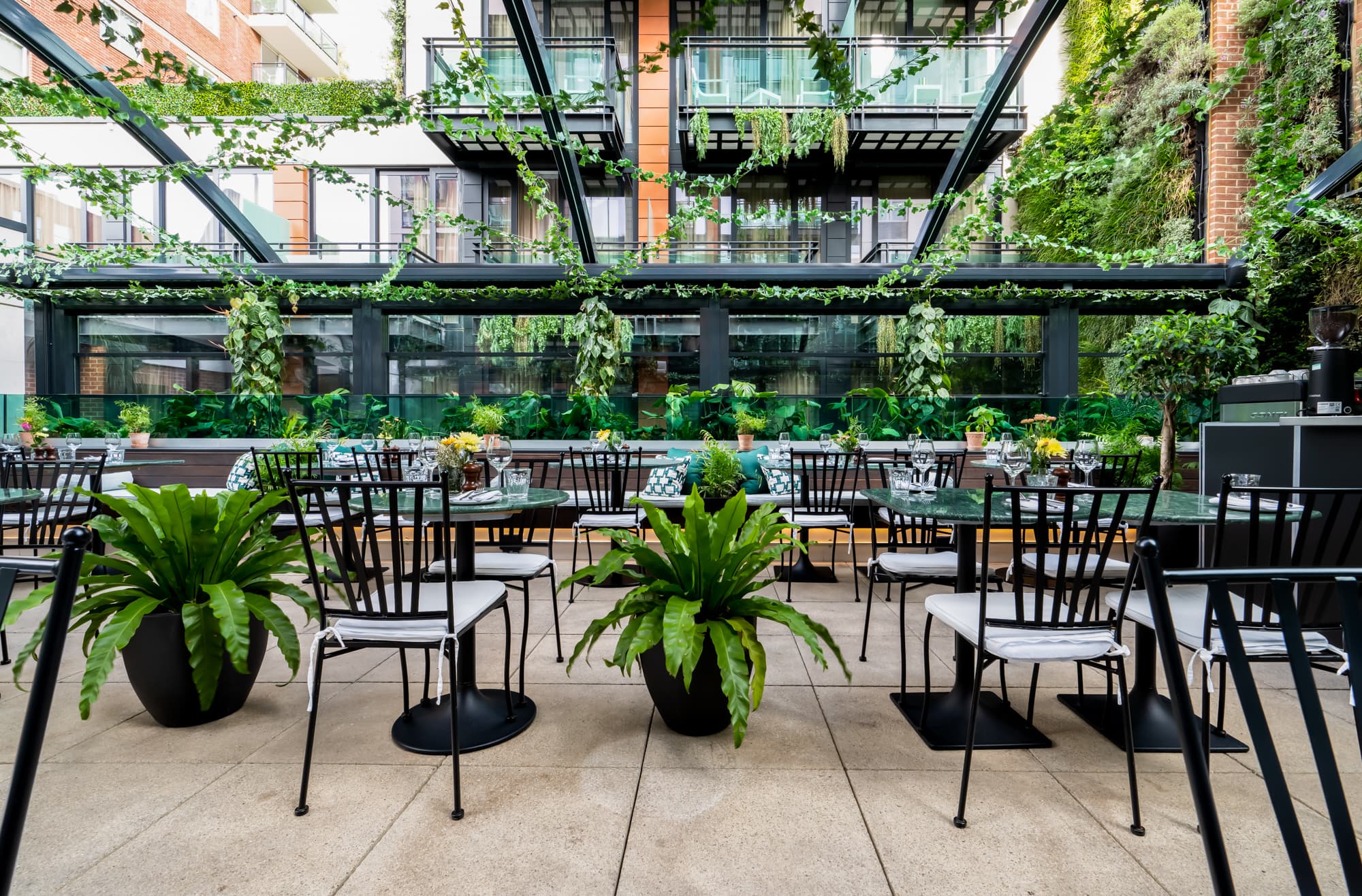 The Terrace, Terra Terra photo #2