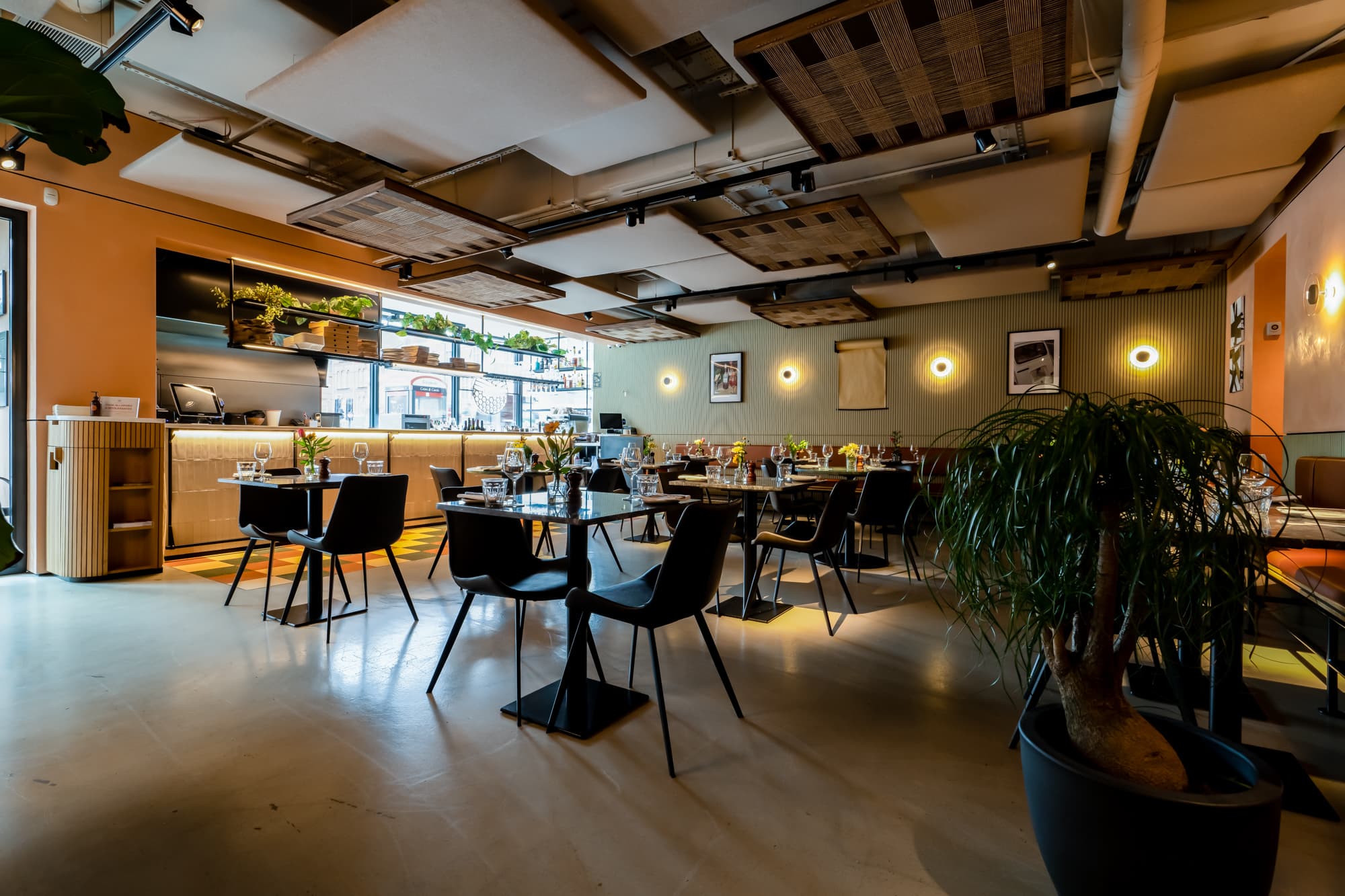 The Dining Room, Terra Terra photo #3