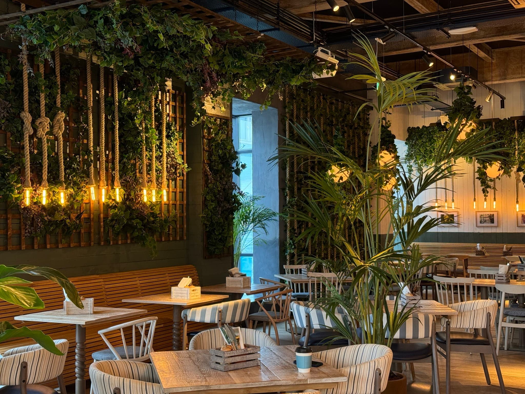 Restaurant Hire, The Botanist Cardiff Bay photo #1