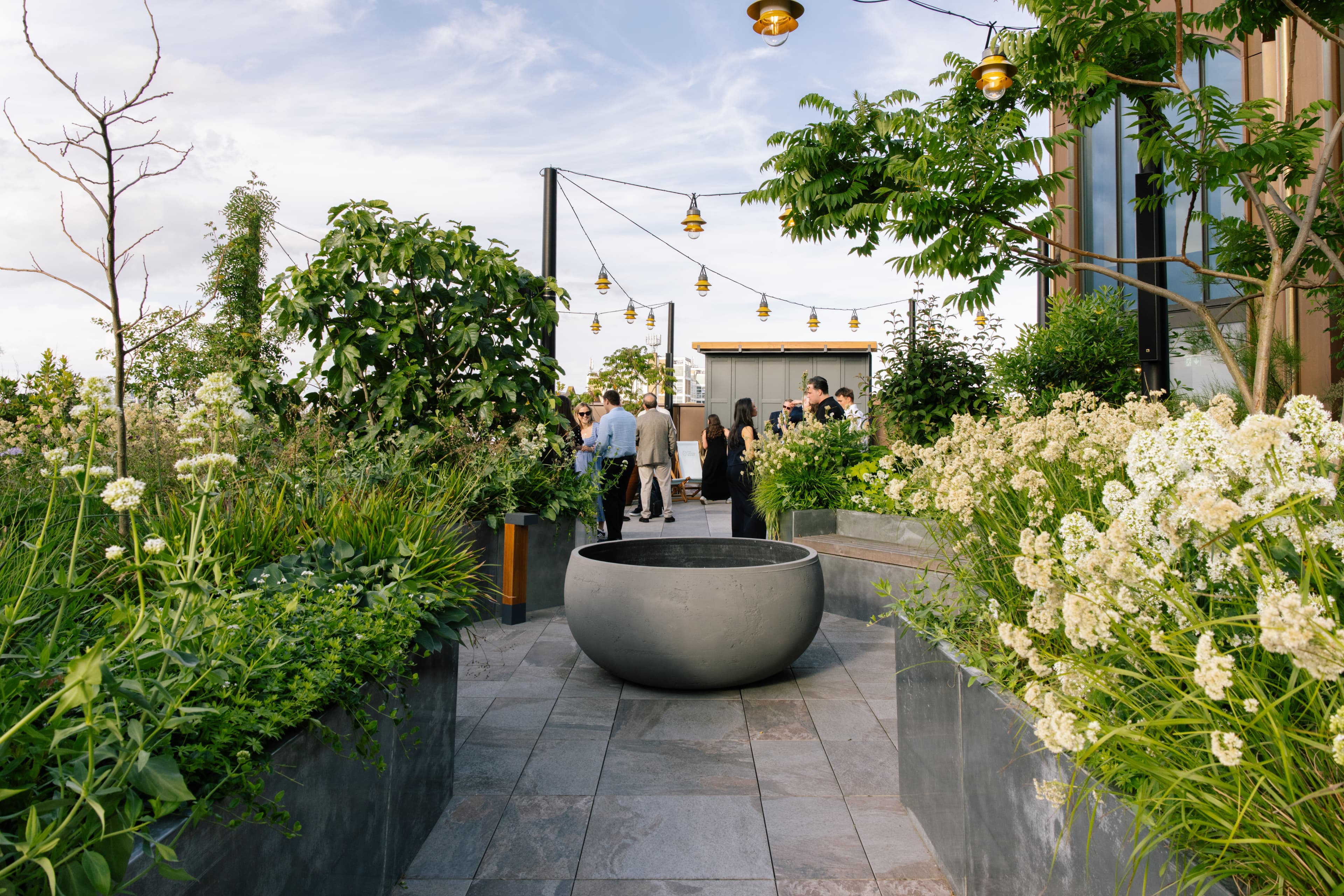 Photo of Arding & Hobbs, Silk