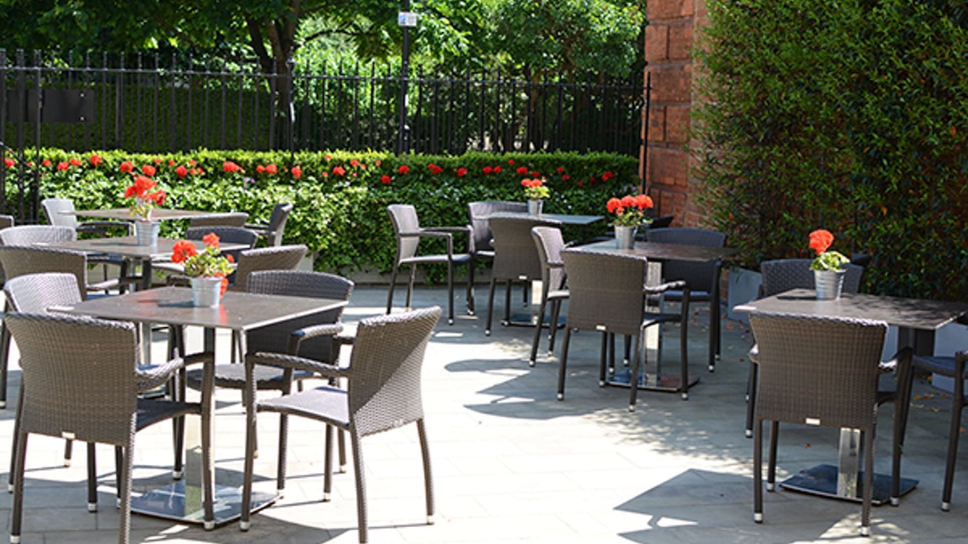 Alumni Suite, 61lif photo #3