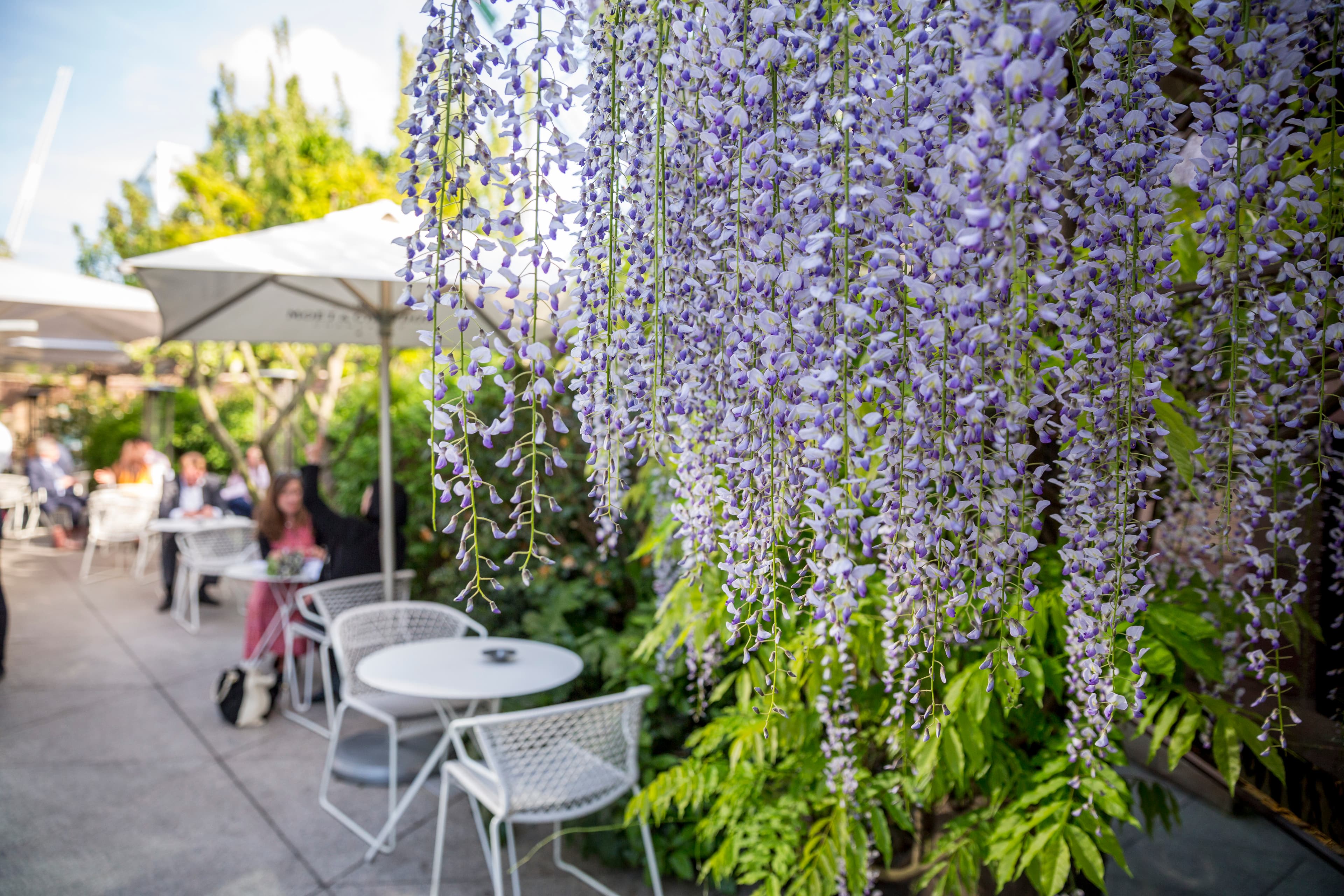 Terrasse Nord, Coq d'Argent Restaurant photo #12