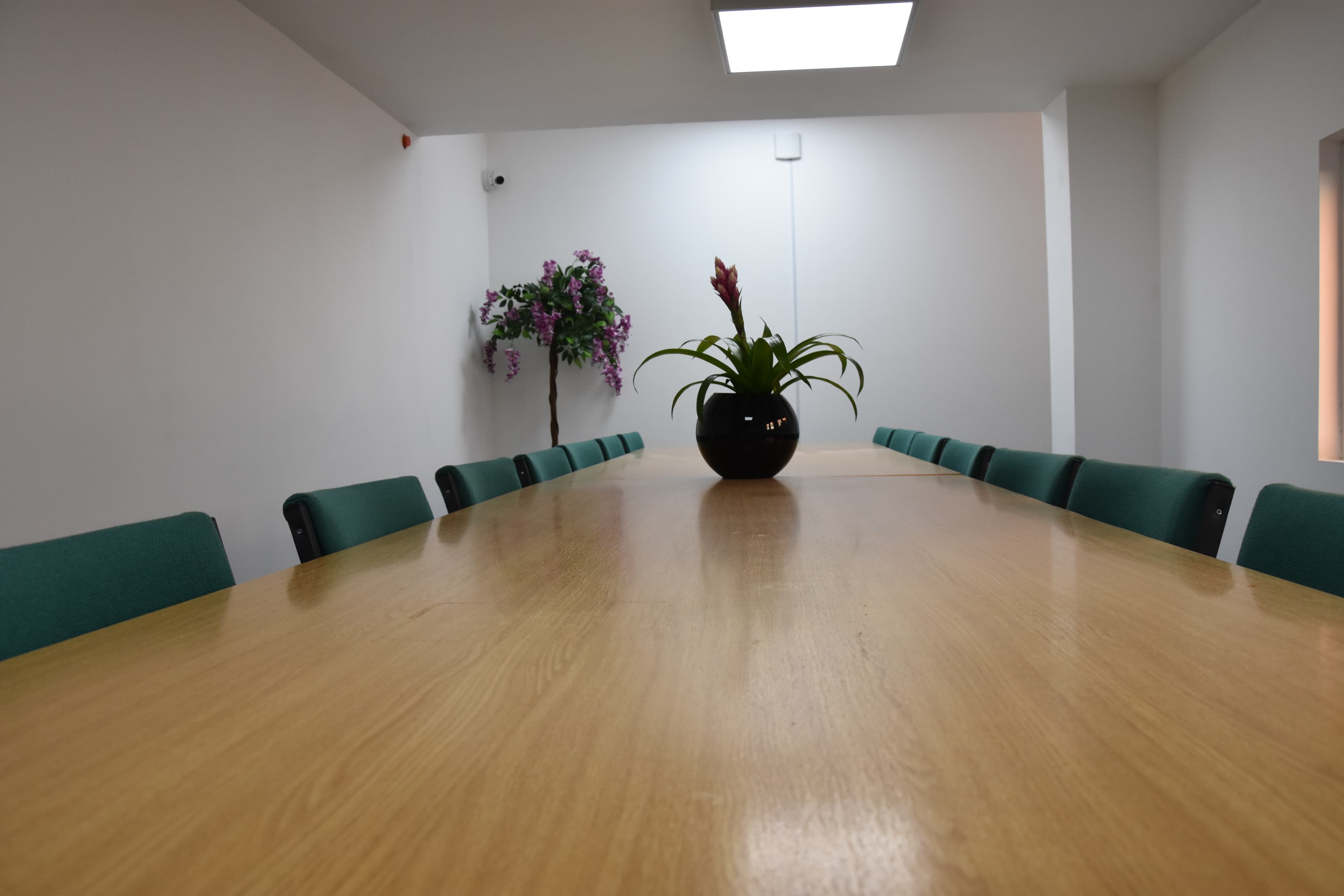 Lily, Quadrant House Wimbledon photo #3