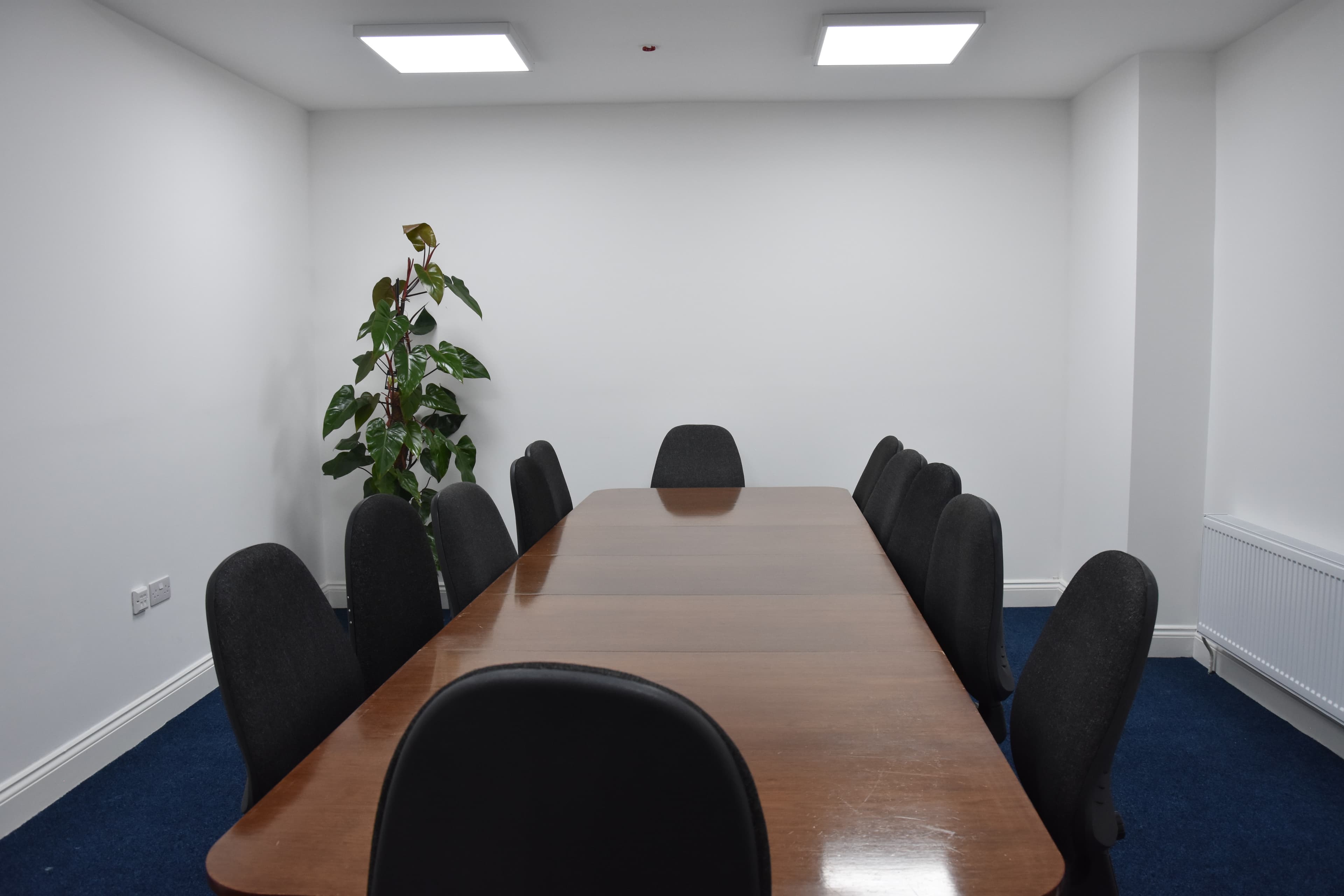 Tulip, Quadrant House Wimbledon photo #1