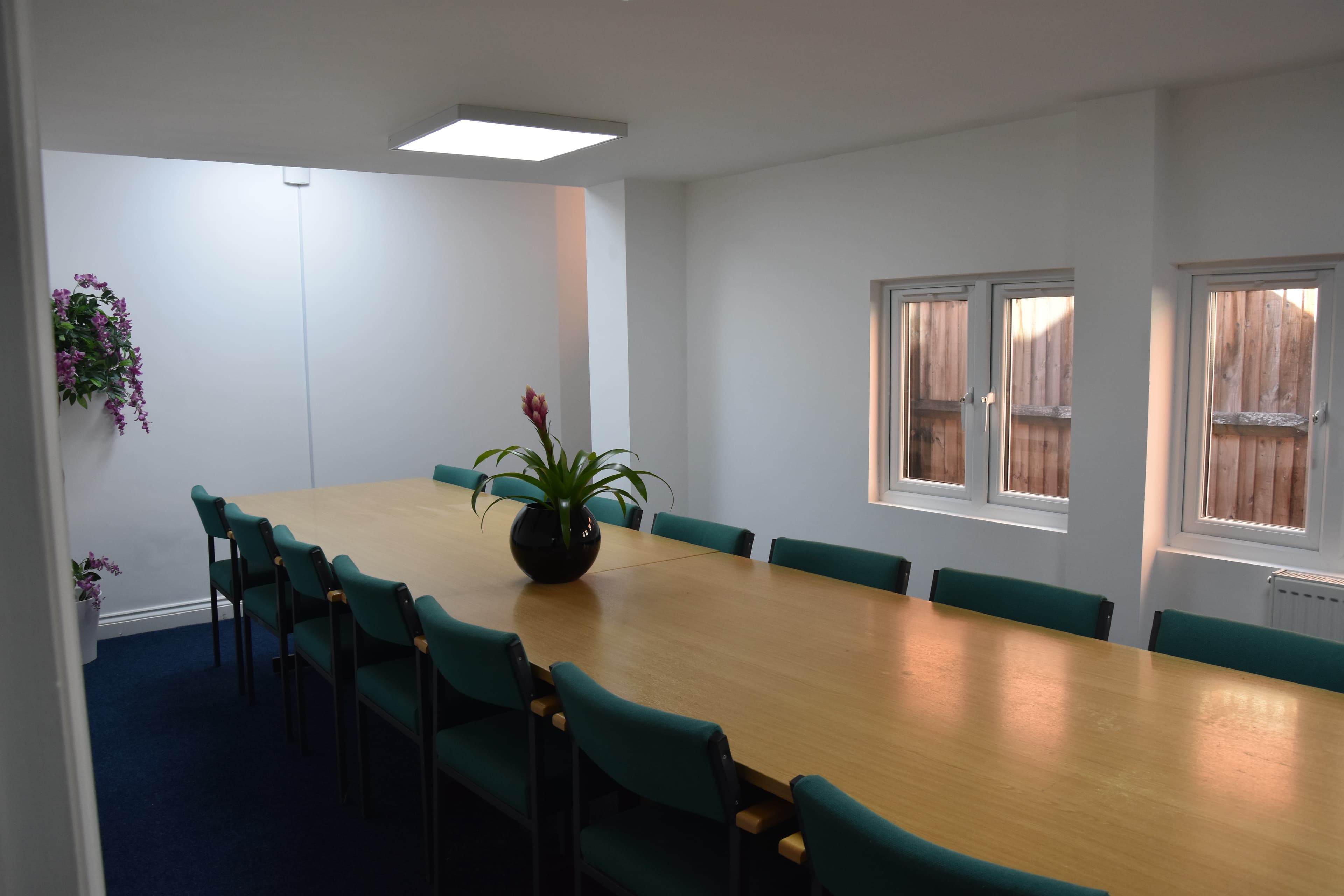 Lily, Quadrant House Wimbledon photo #2