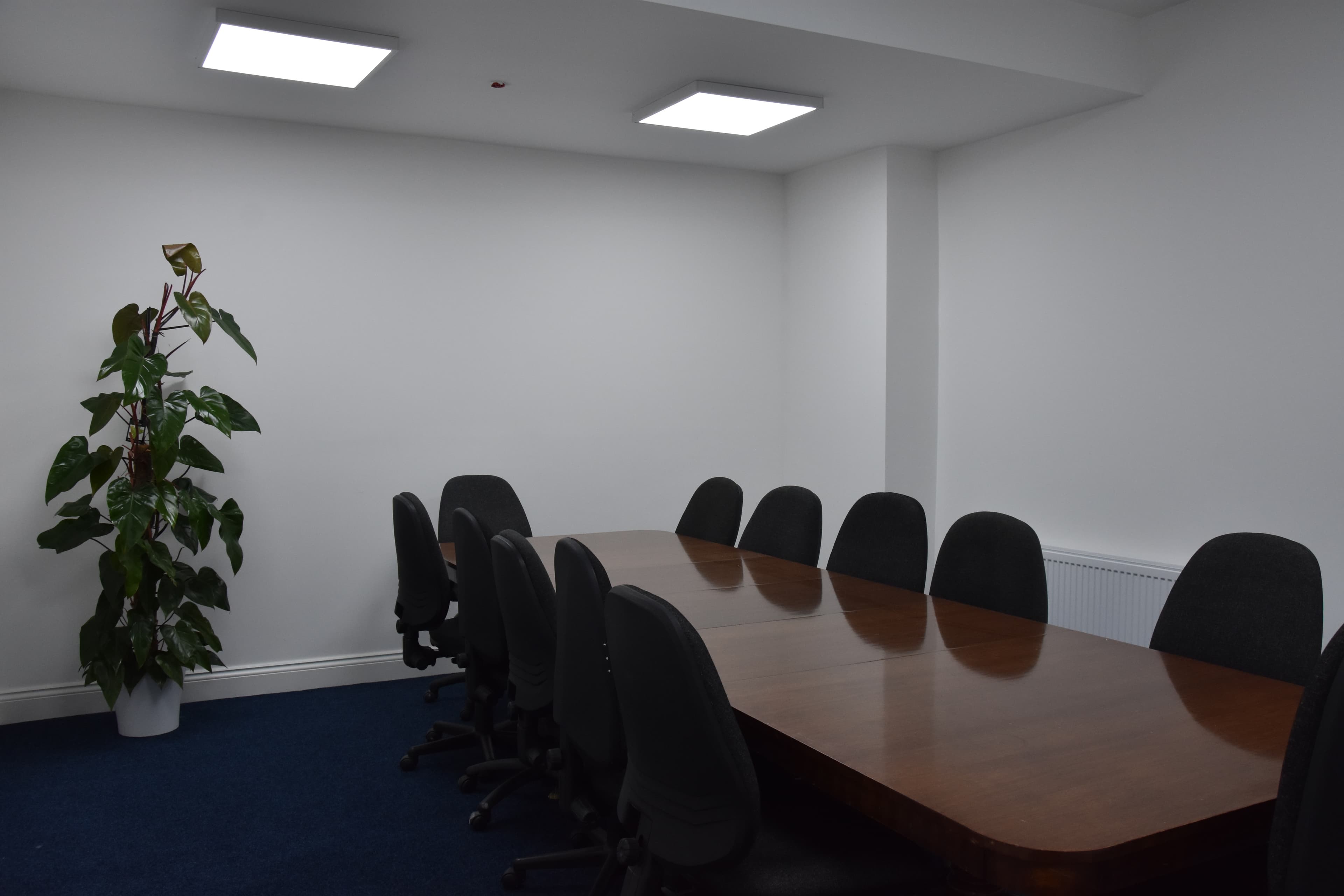 Tulip, Quadrant House Wimbledon photo #3