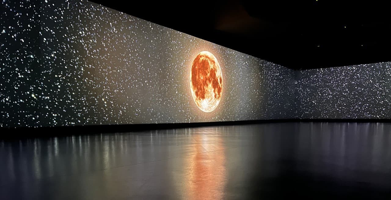 Exclusive Hire, Studio Society photo #3